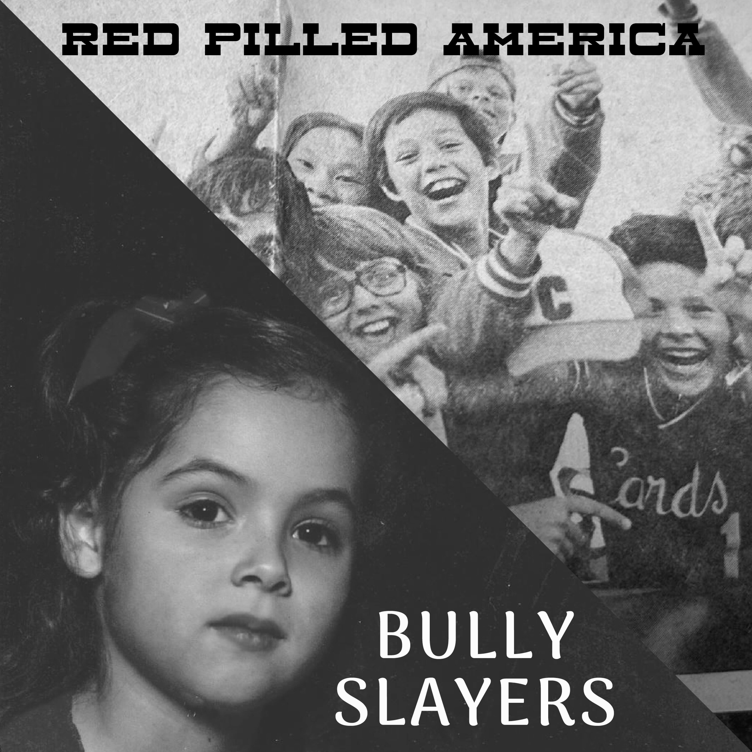 Bully Slayer episode artwork