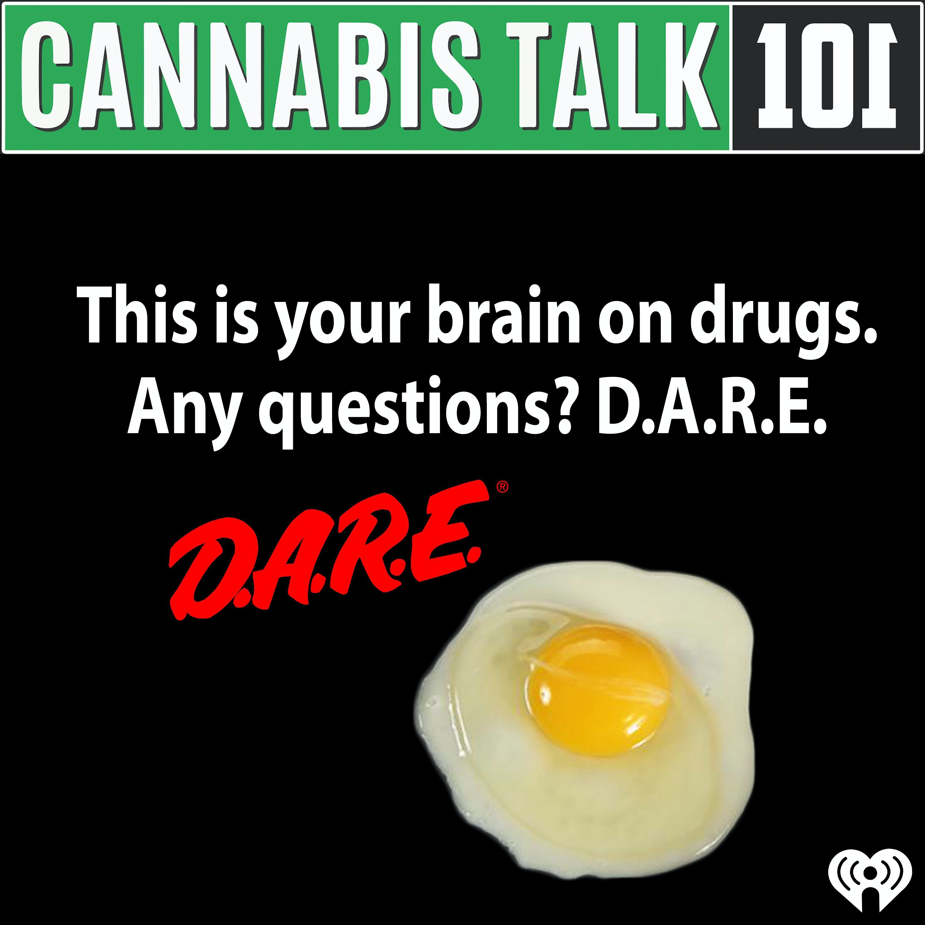 This is your brain on drugs, any questions? D.A.R.E