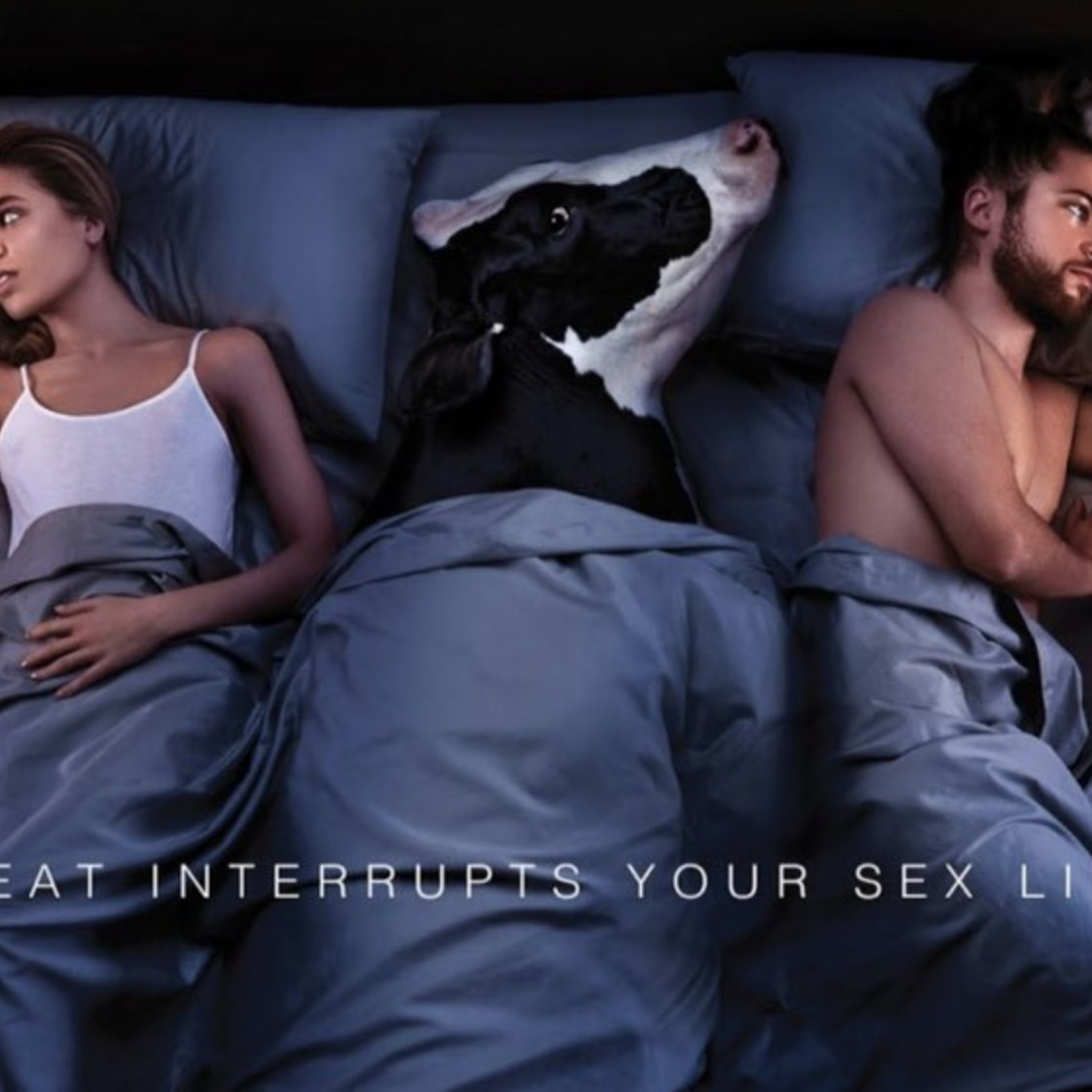 1803: PETA Too Woke