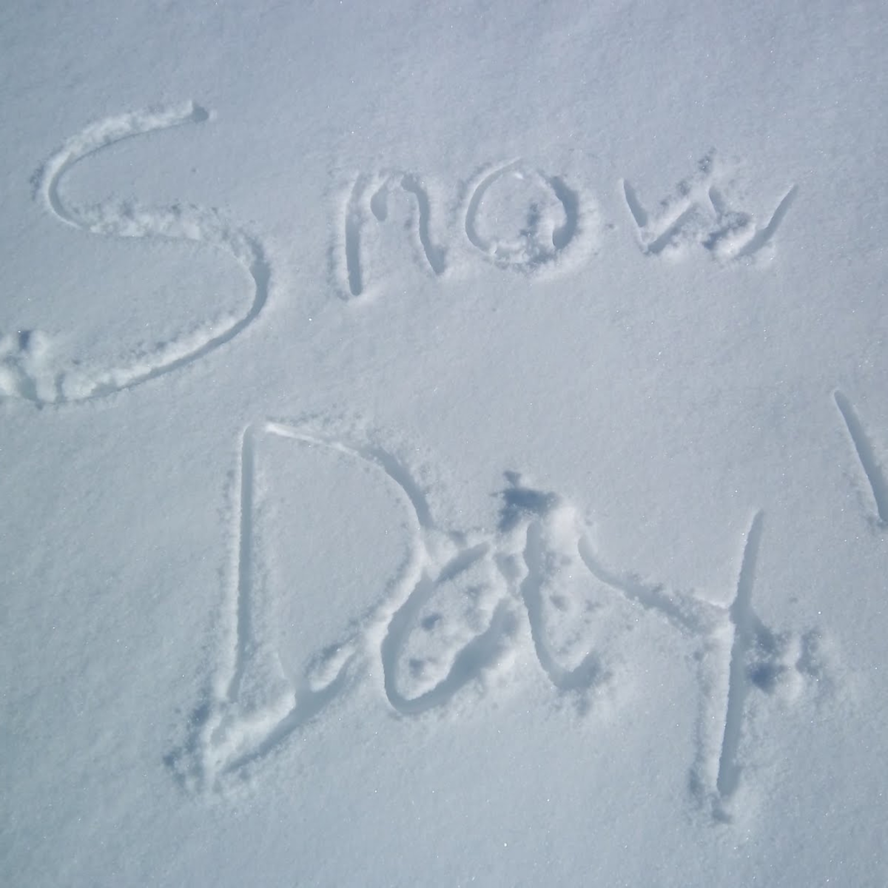641: Snow Day!
