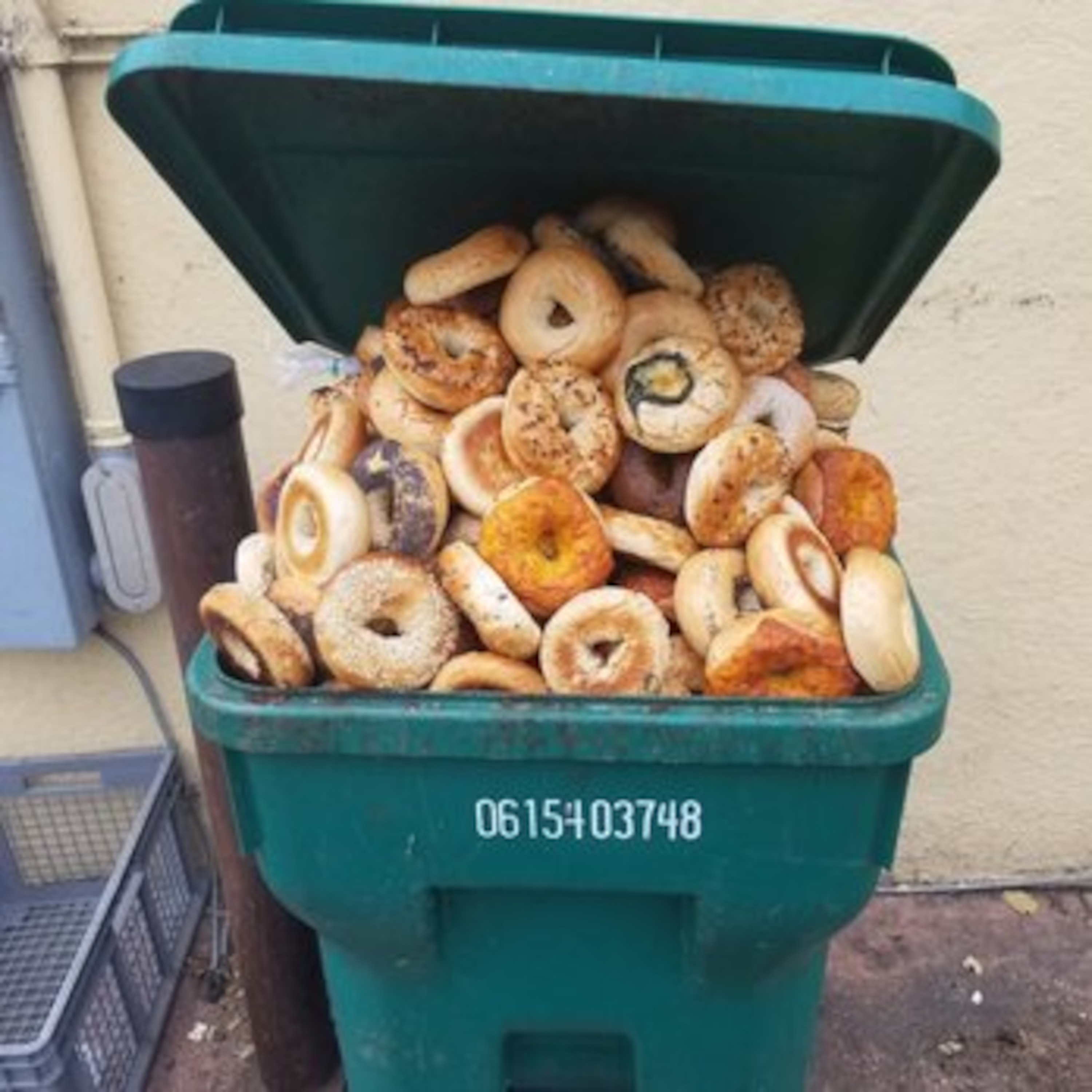 1749: Basic Bagels
