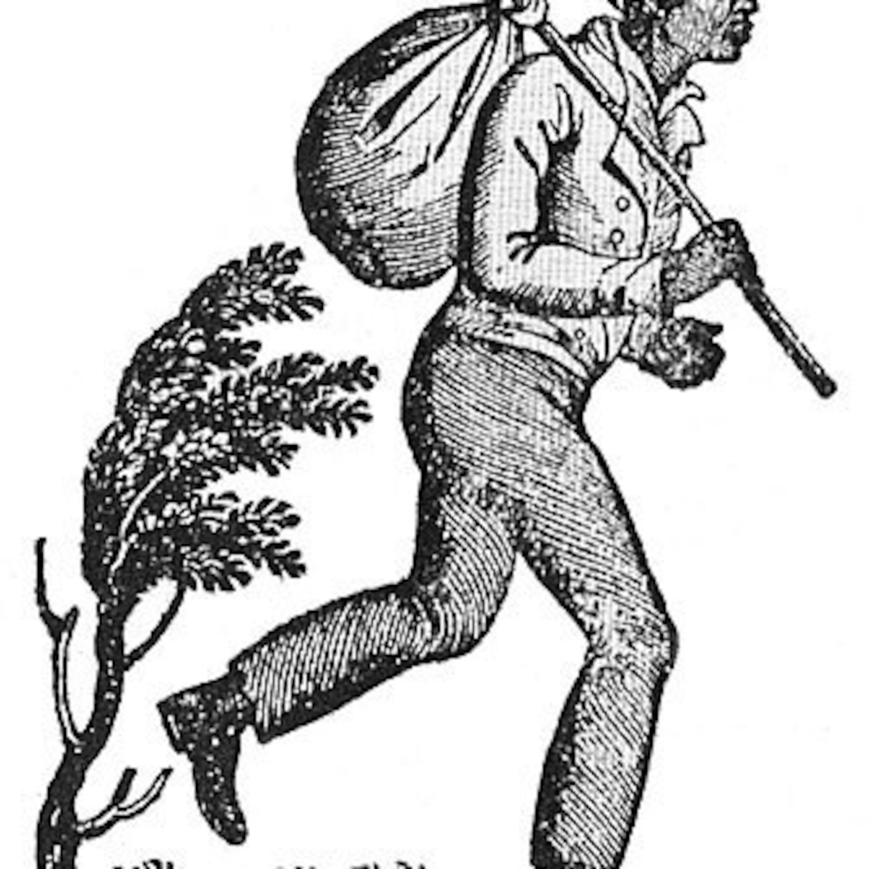 1882: Runaway Negro Creek