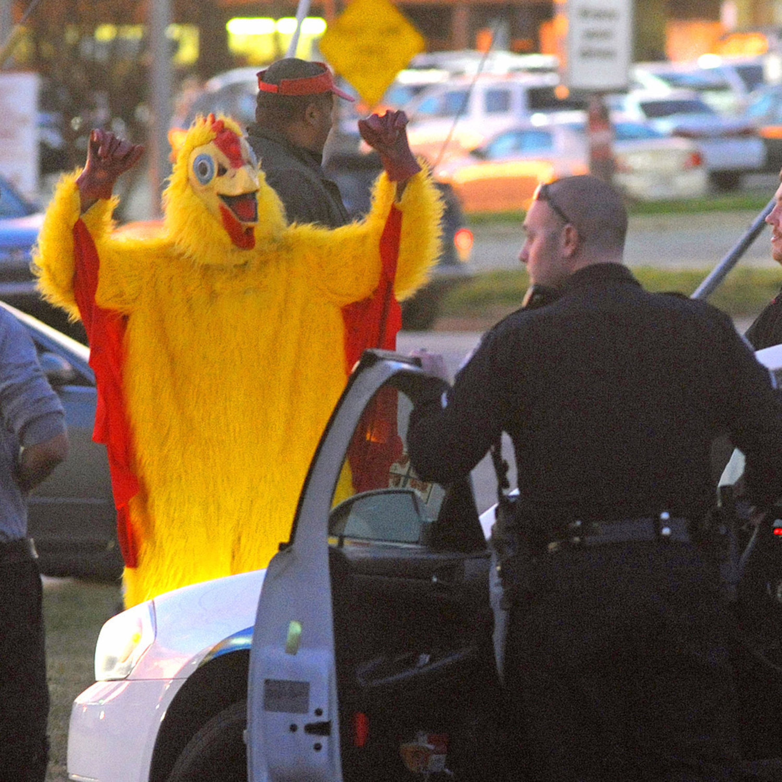 1535: Chicken CSI