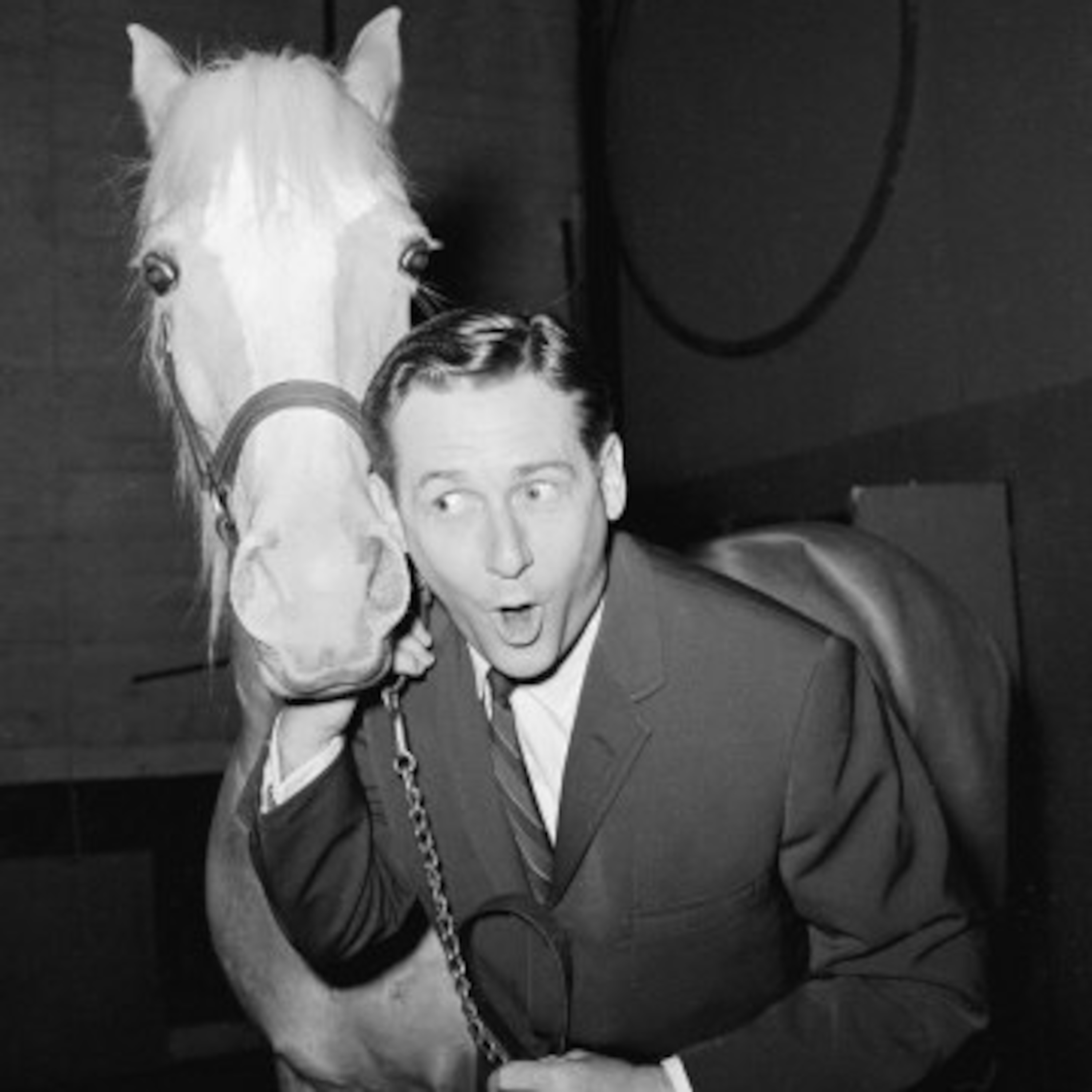 252: Why Do White People Love Horses?
