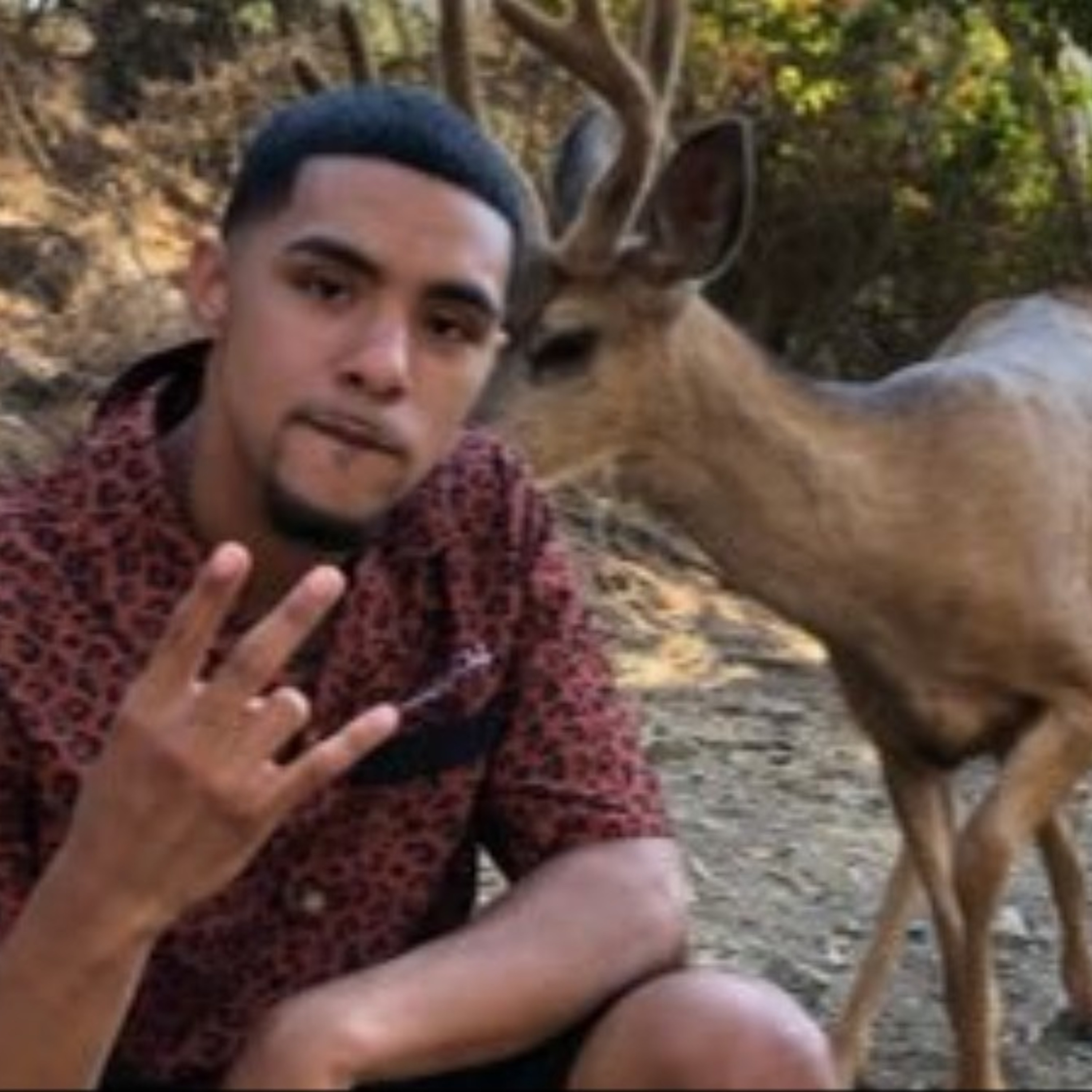 1775: My Deer Brother Nature