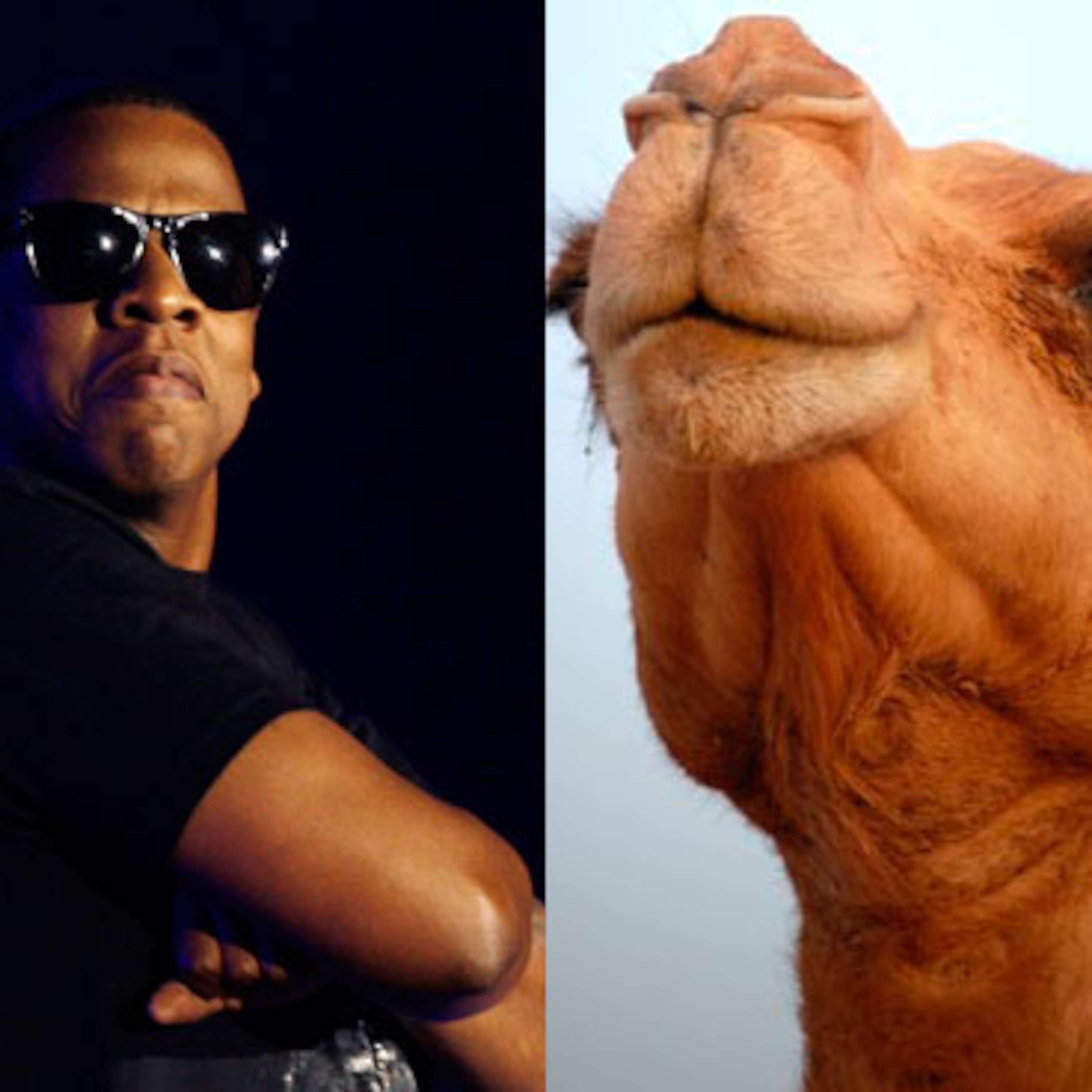 705: Kicking A Dead Camel