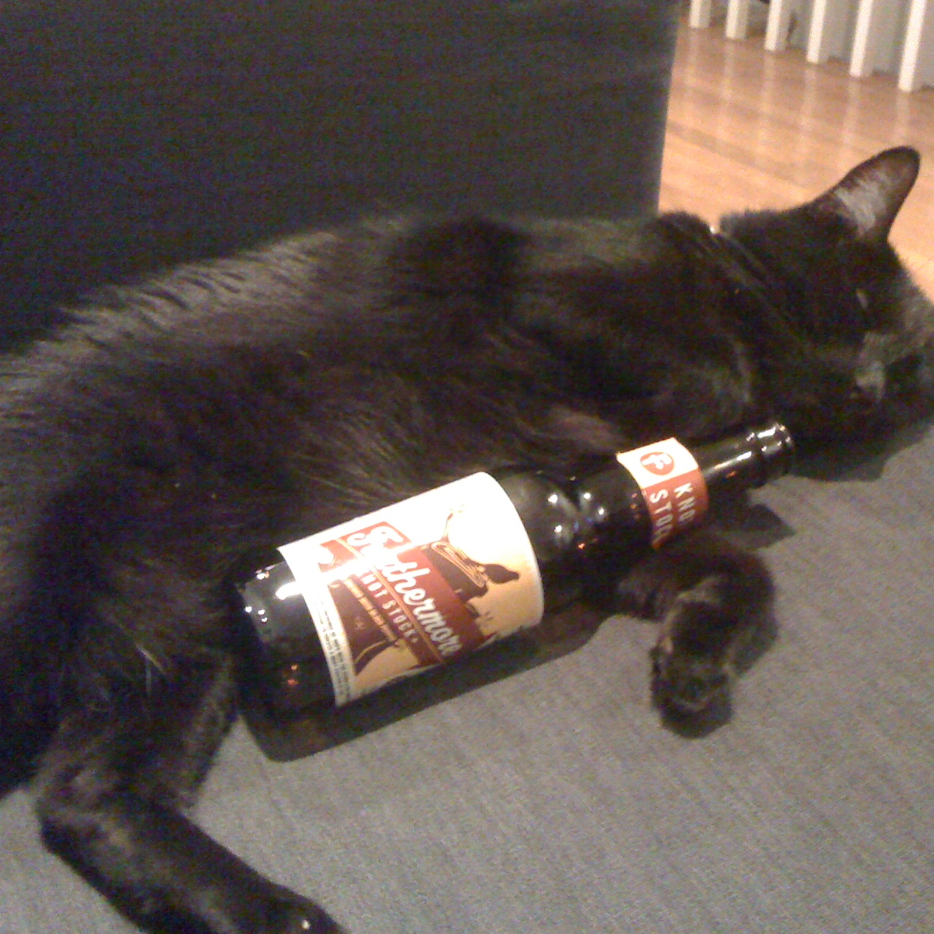 452: Chile Grapes On P#ssy Wine