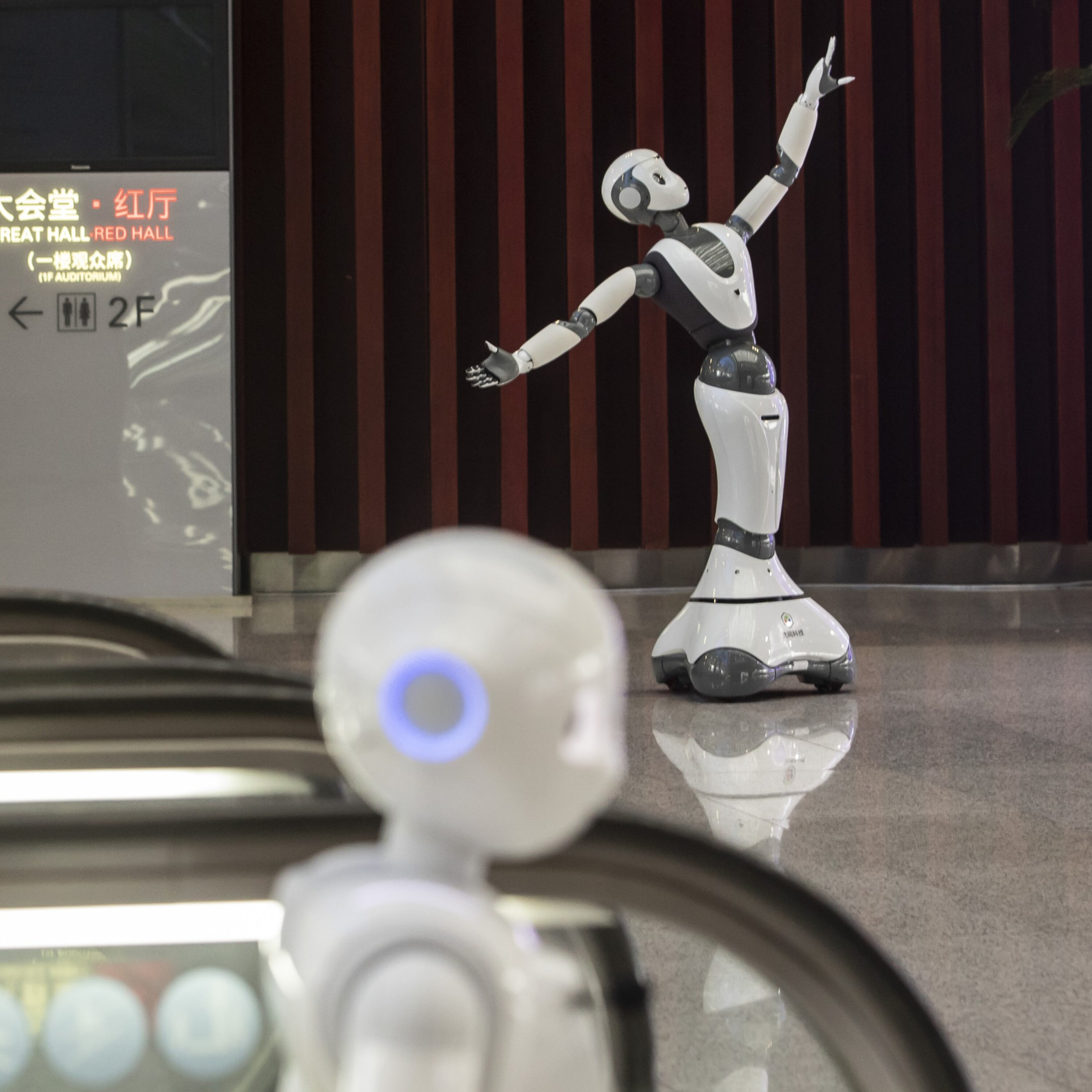 What Can Today's Robots Do?