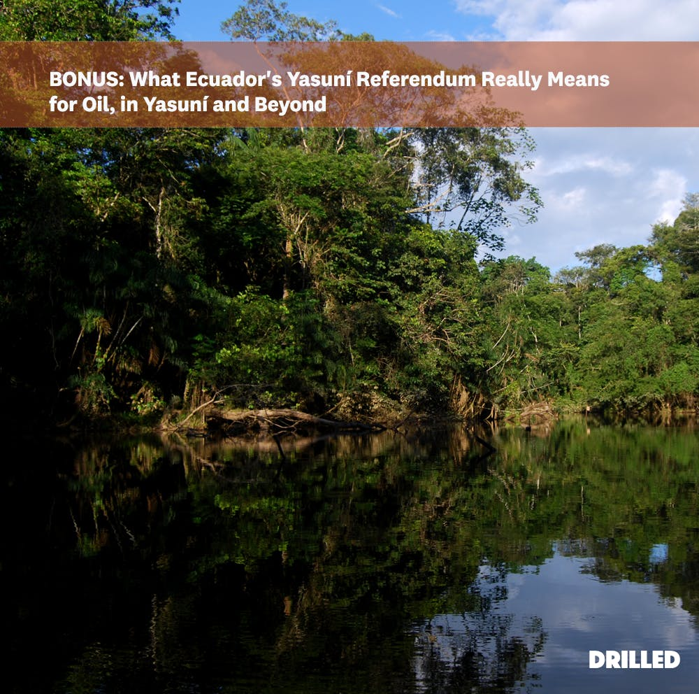 What Ecuador's Yasuní Referendum Really Means for Oil, in Yasuní and Beyond