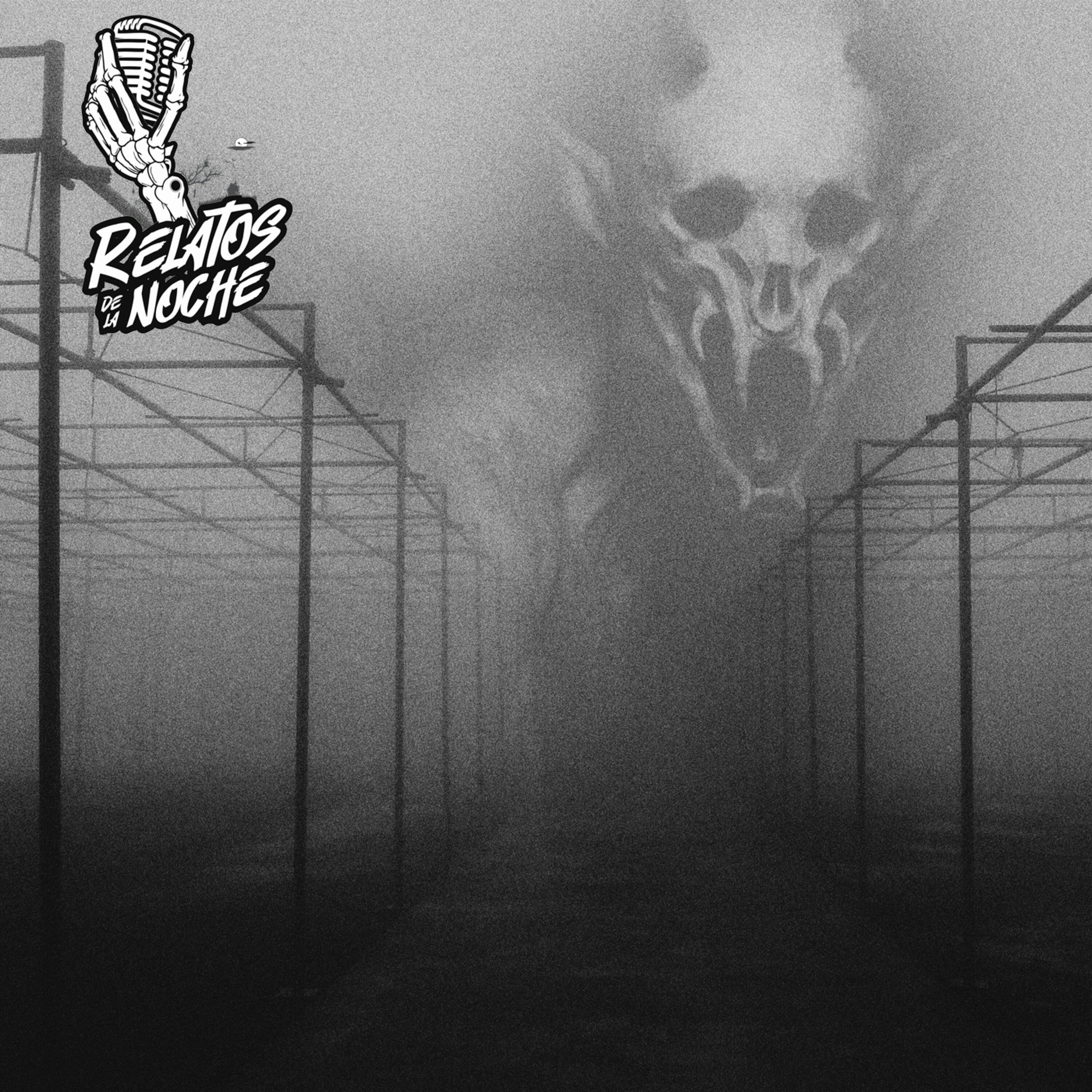 Podcast cover