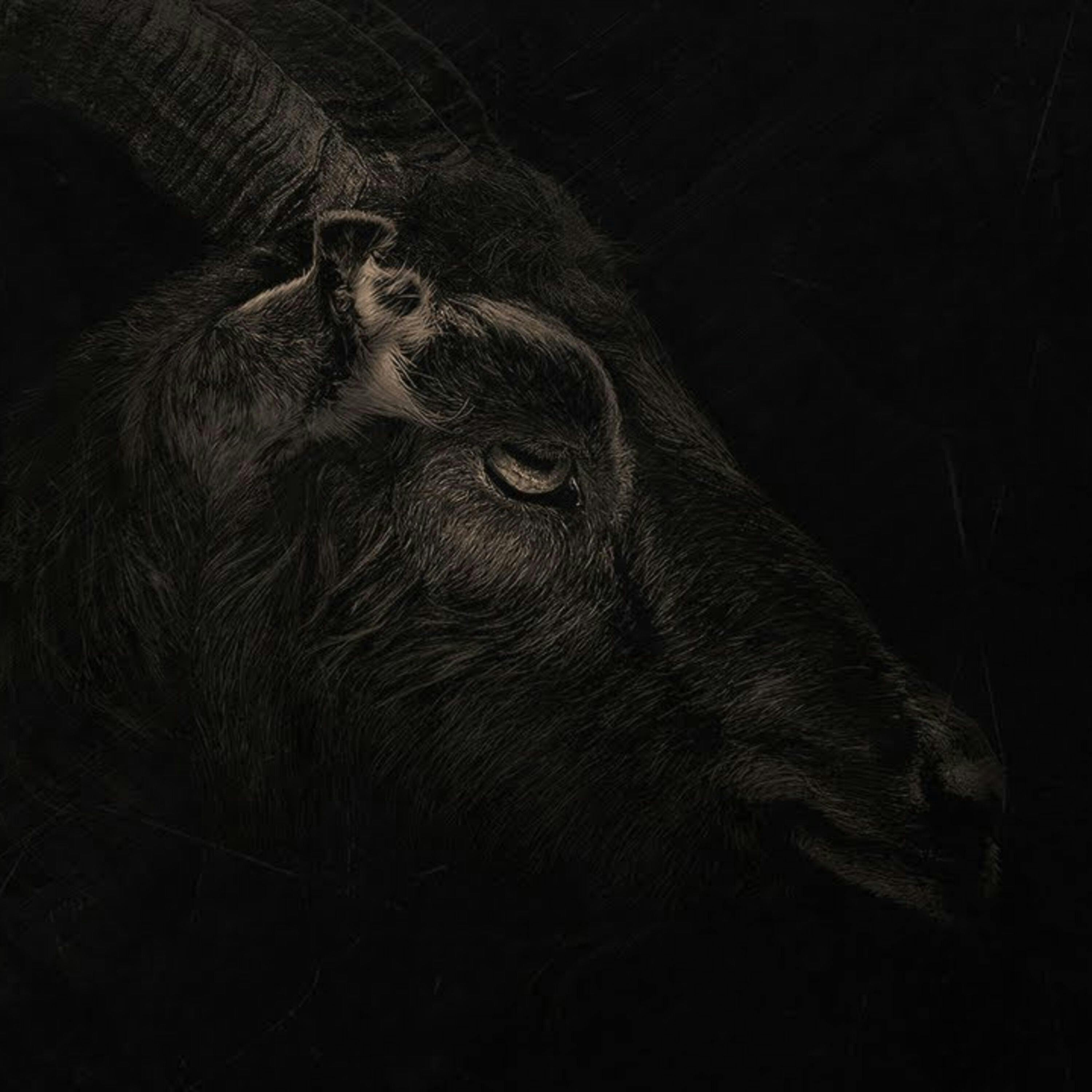 Relatos de la Noche cover image