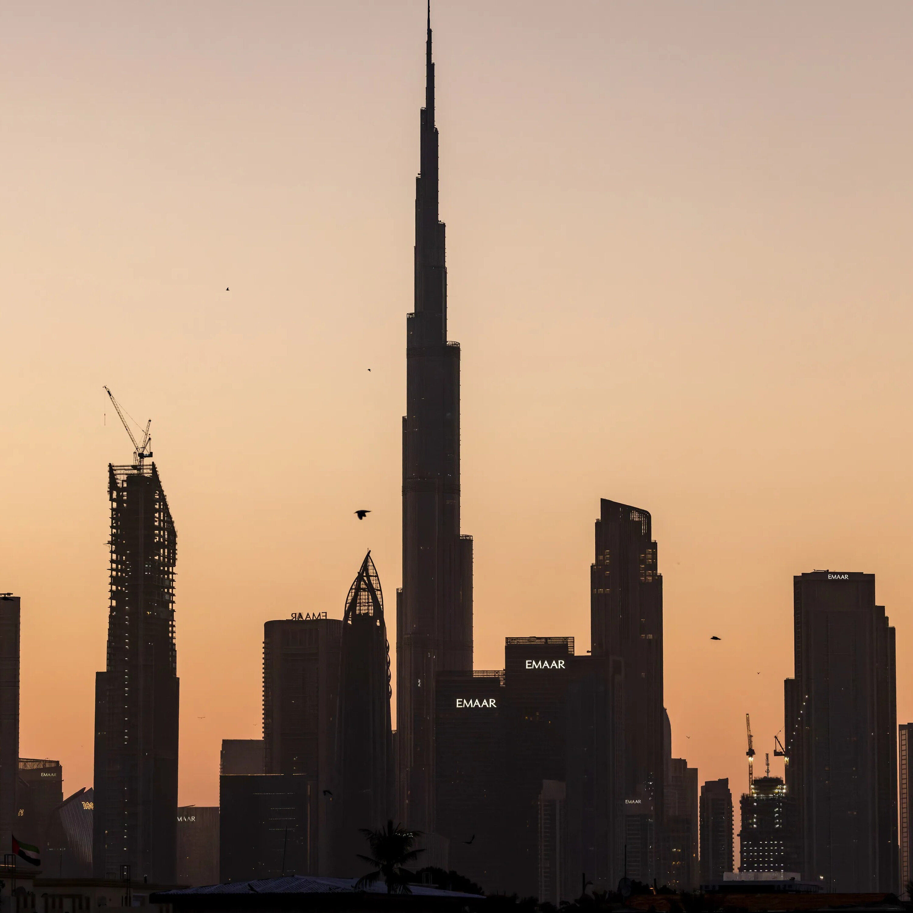 Here’s Why Dubai’s Global Reputation Is Under Threat episode artwork