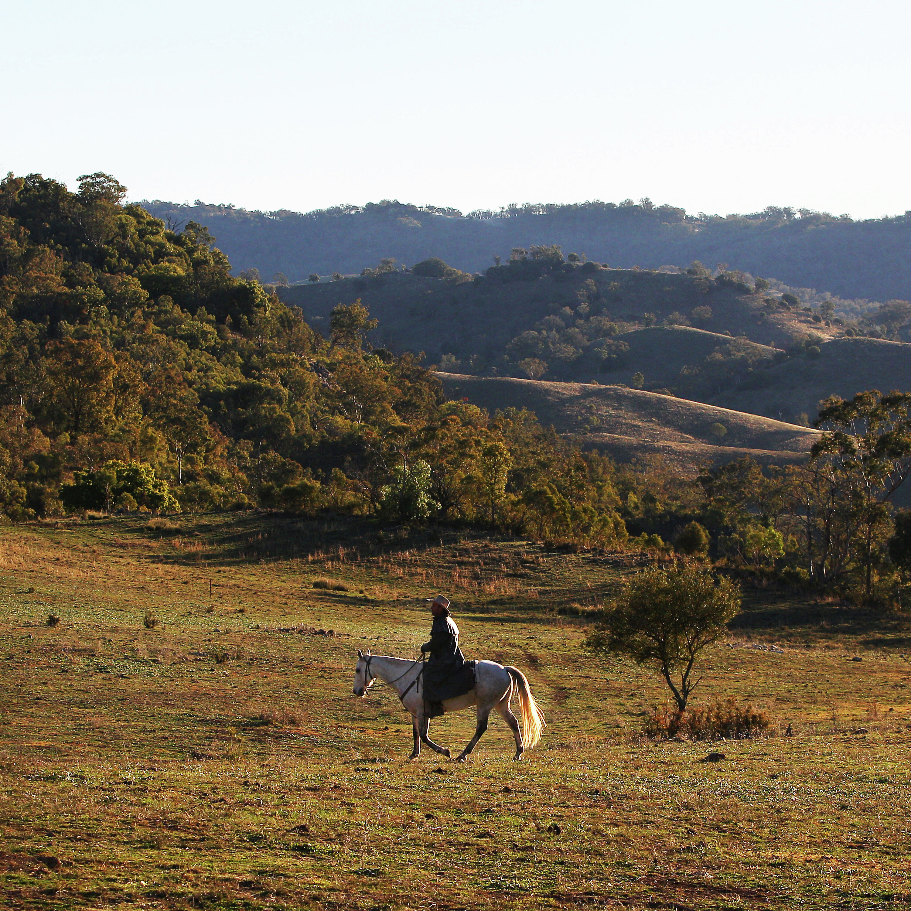 Inside The Succession Turmoil Facing Australian Farmers episode artwork