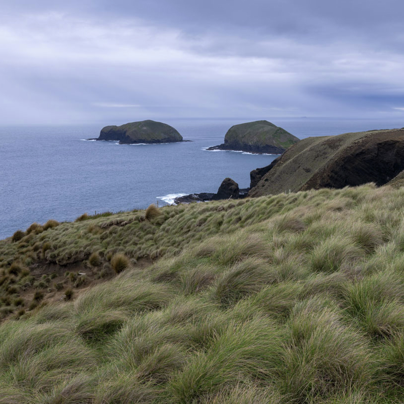 What a Tower in Tasmania Tells Us About the Future of Planet Earth