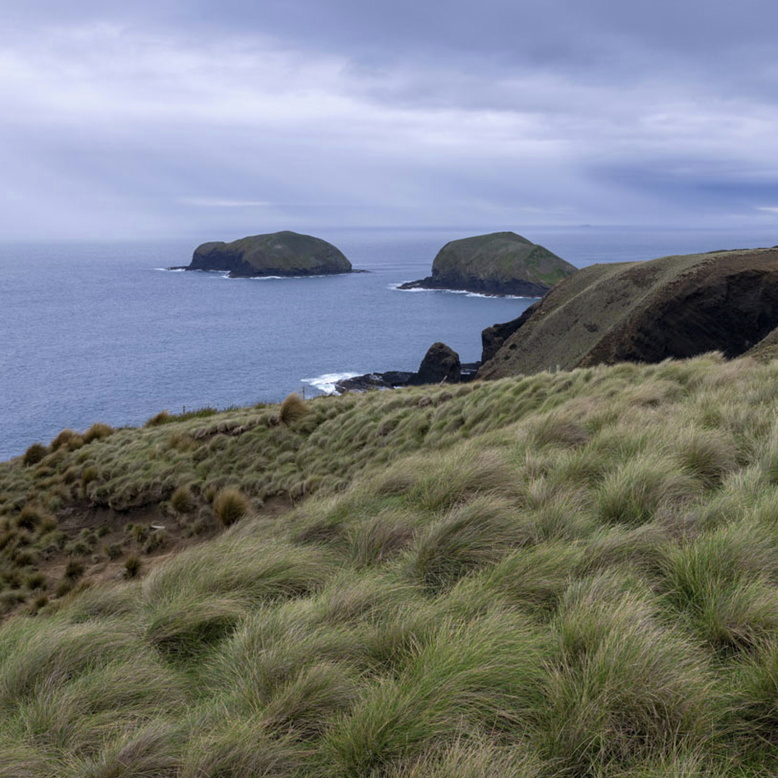 What a Tower in Tasmania Tells Us About the Future of Planet Earth