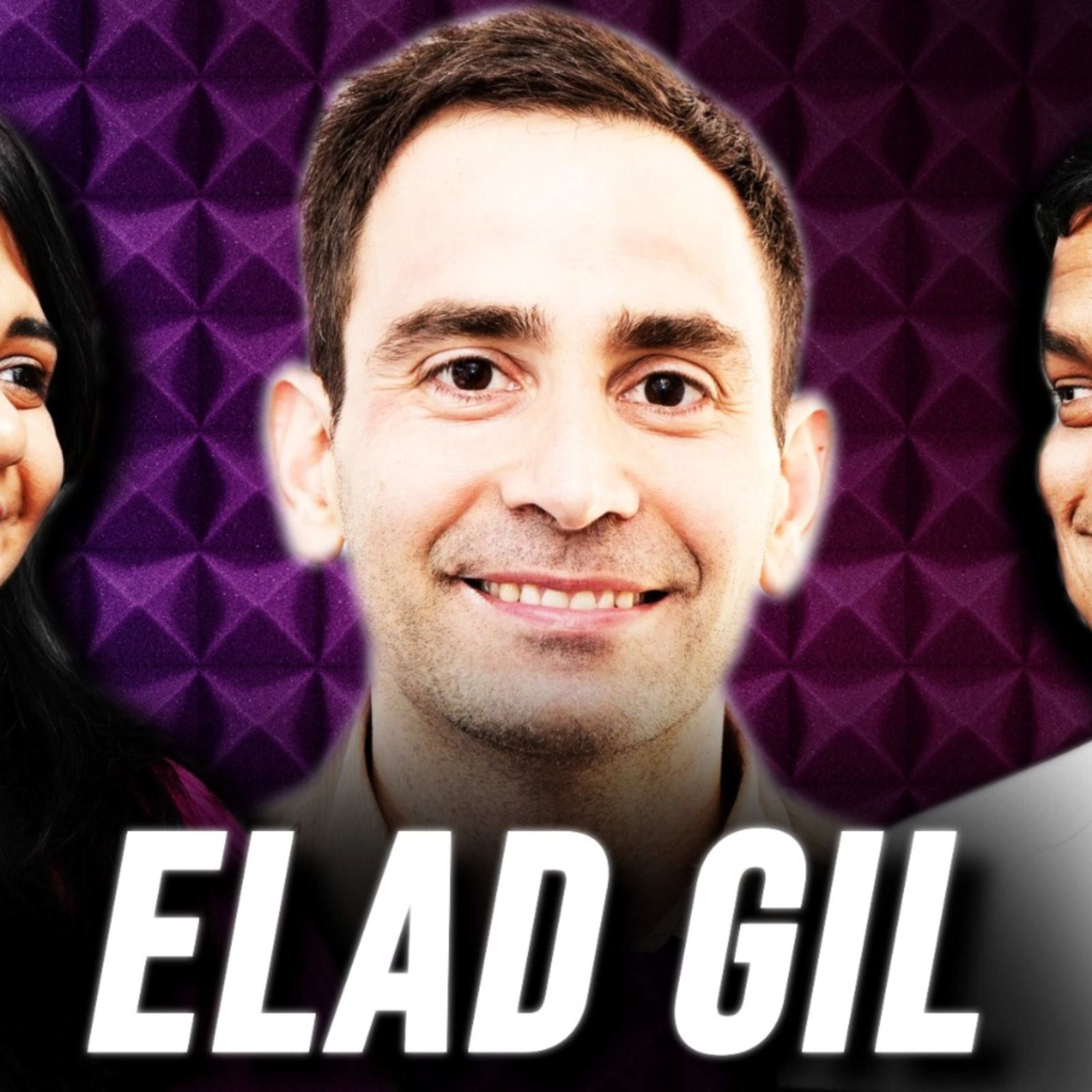 Elad Gil on startup fundraising in 2023, his bold predictions for Silicon Valley, AI market map, energy and the politics of nuclear power, and how he finds the smartest builders