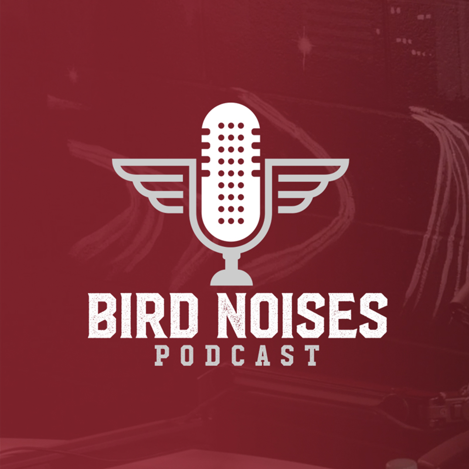 Atlanta Falcons Podcast Network