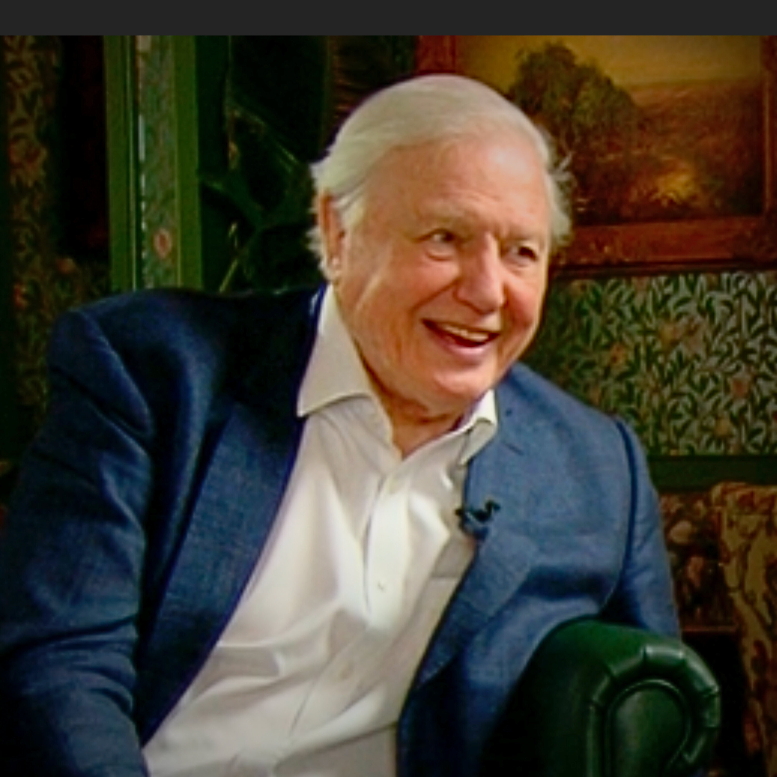 Sir David Attenborough: The Voice of the Natural World Turns 100 episode artwork