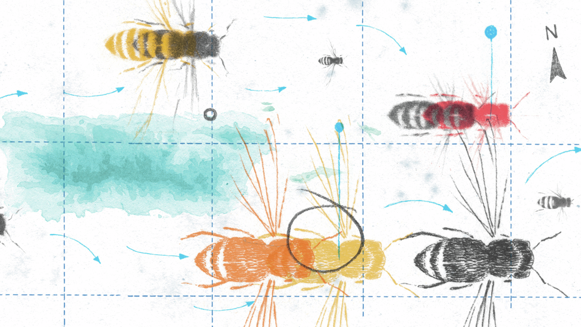 La colonia perdida [repeat]