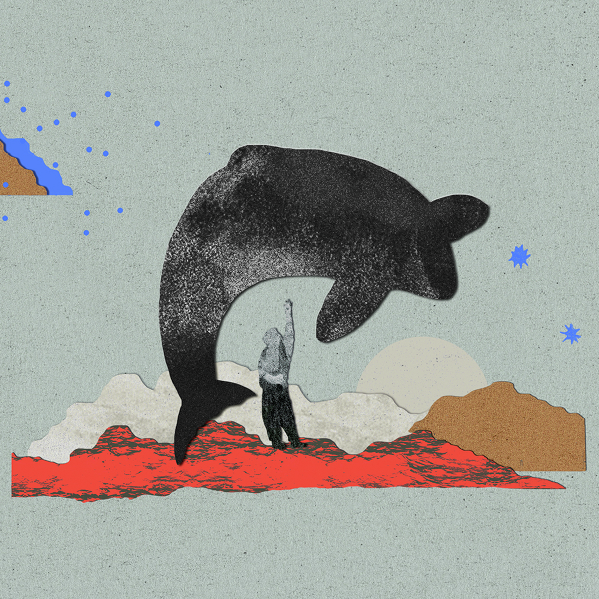 La ballena más famosa del mundo