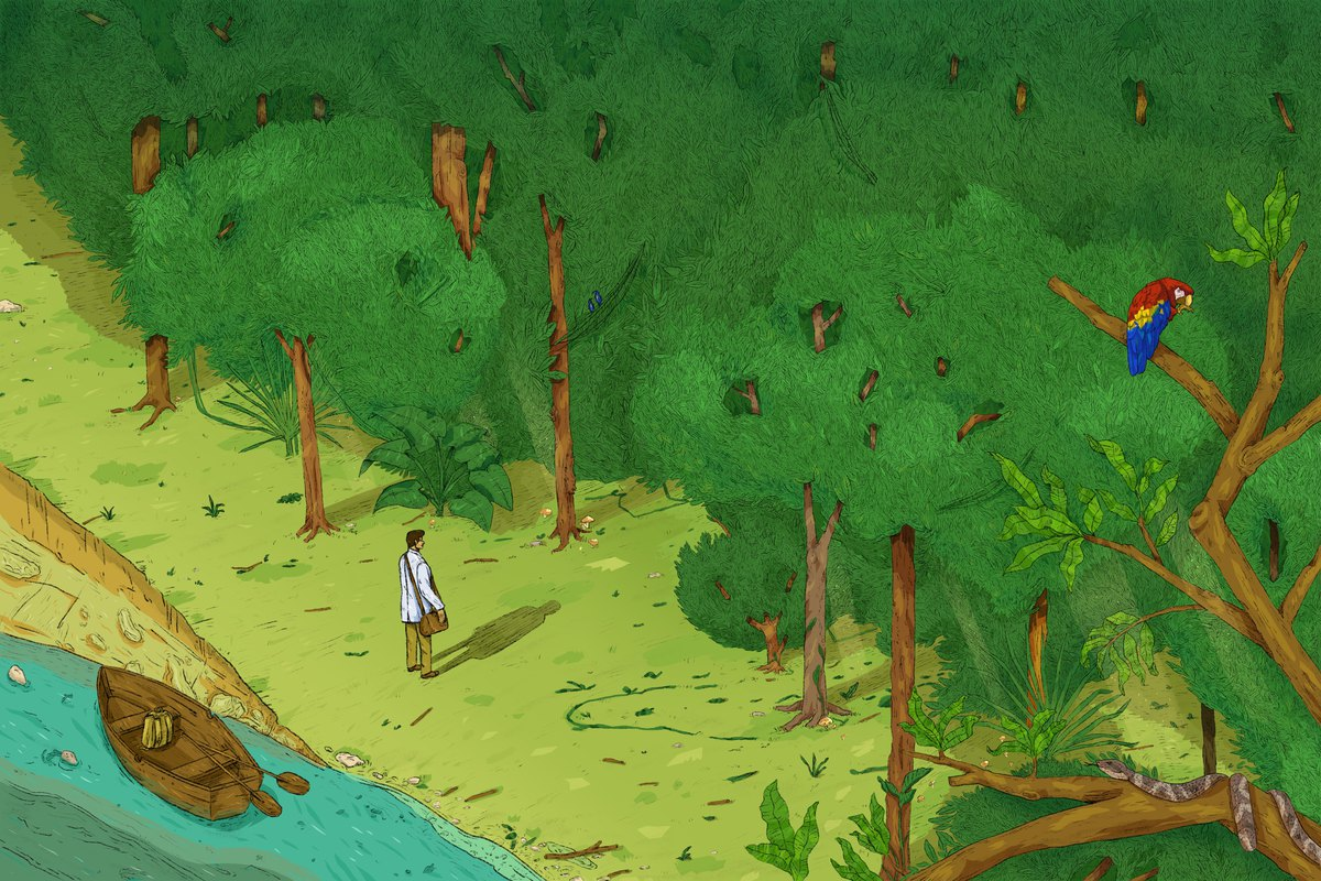 Esa maldita ida allá