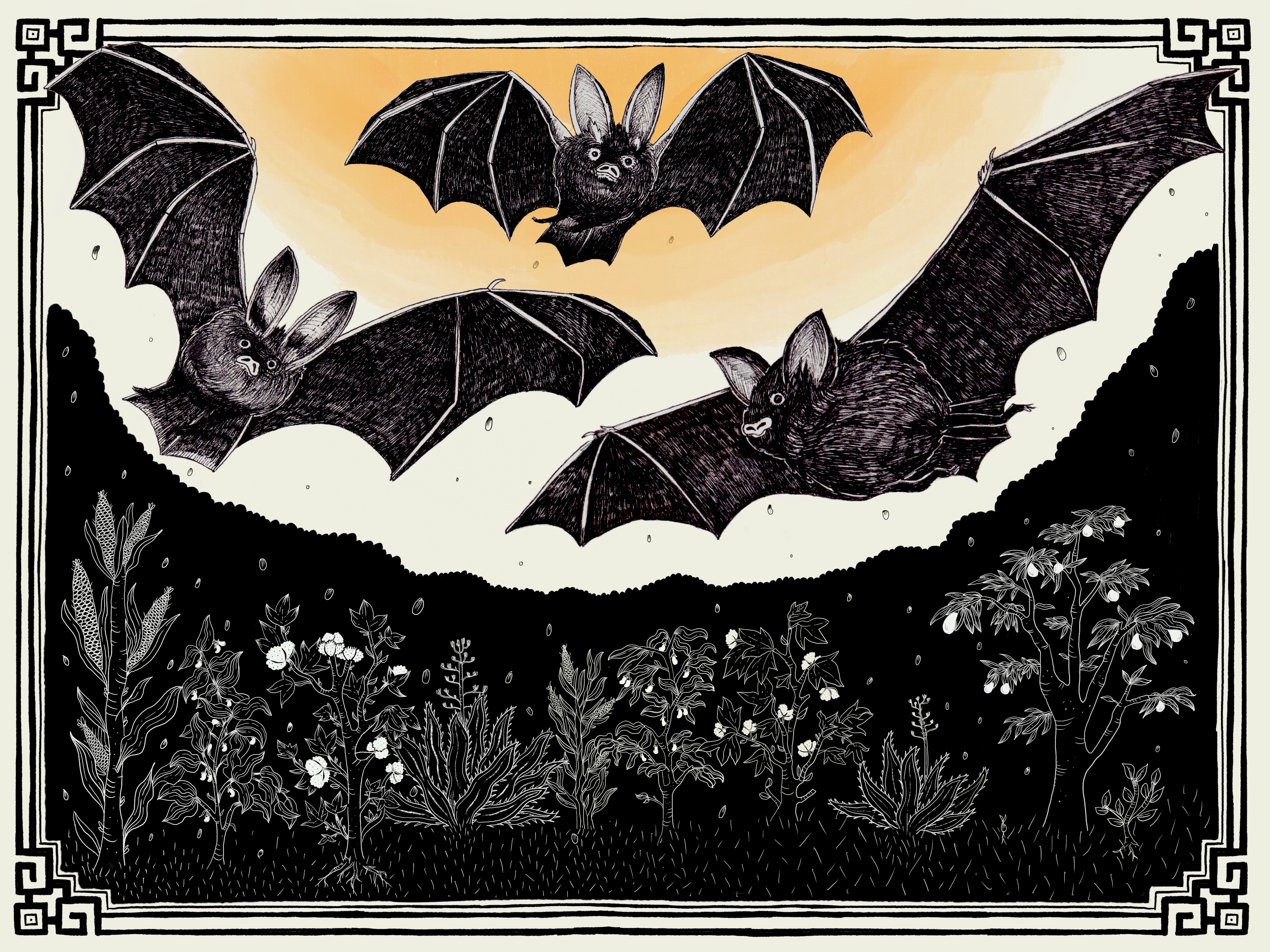 El hombre murciélago