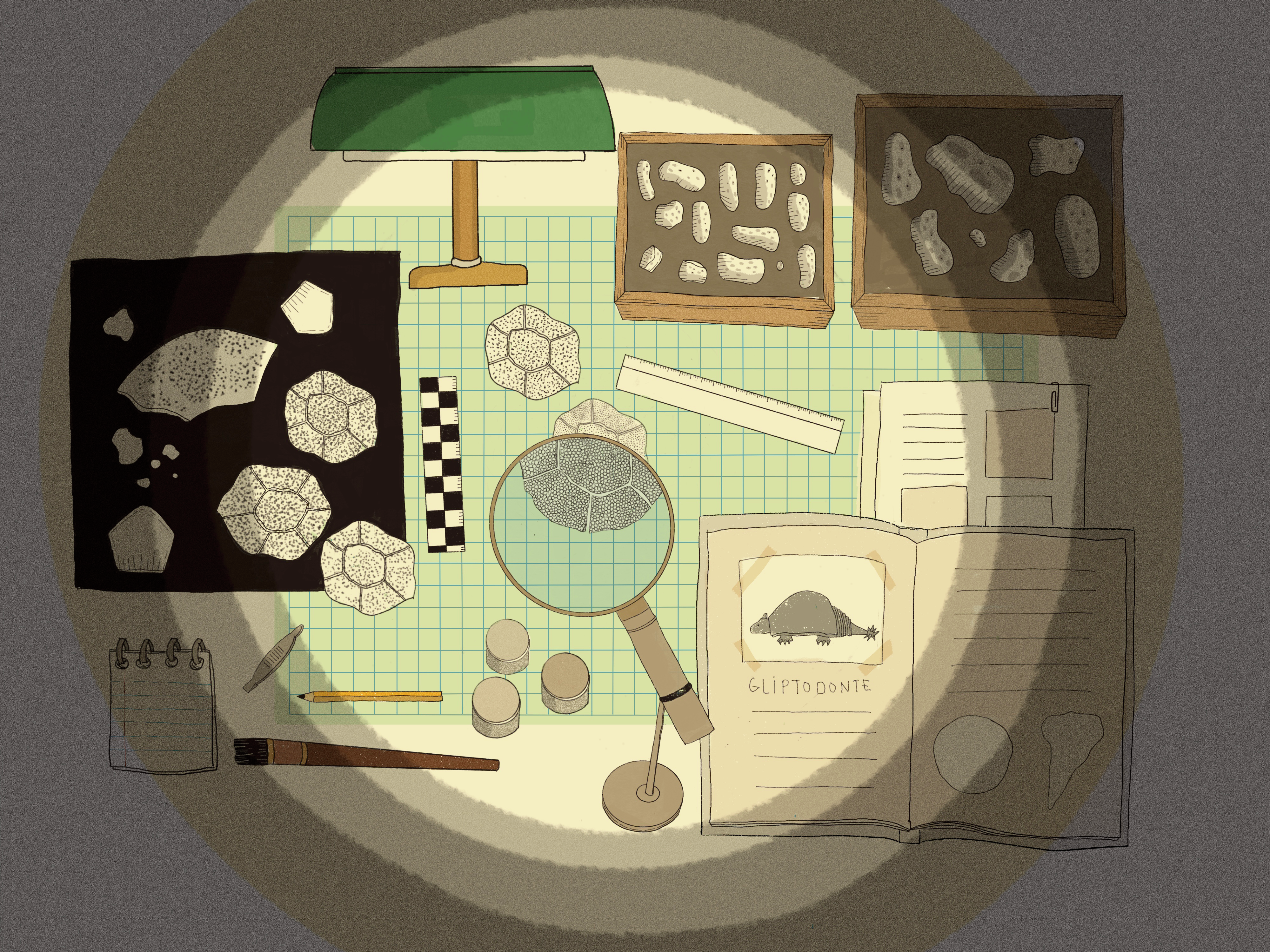 El misterio de los fósiles