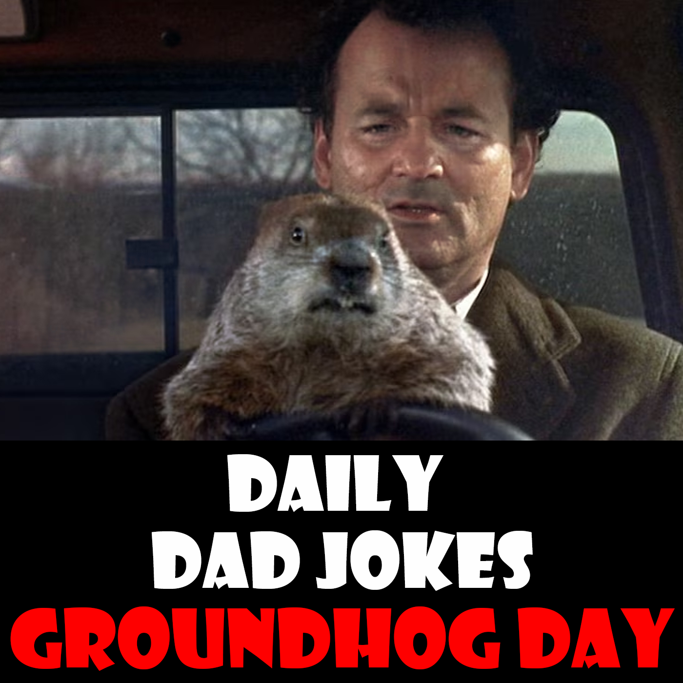 Groundhog Day! Repeatable dad jokes... day after day after day! 02 February 2025