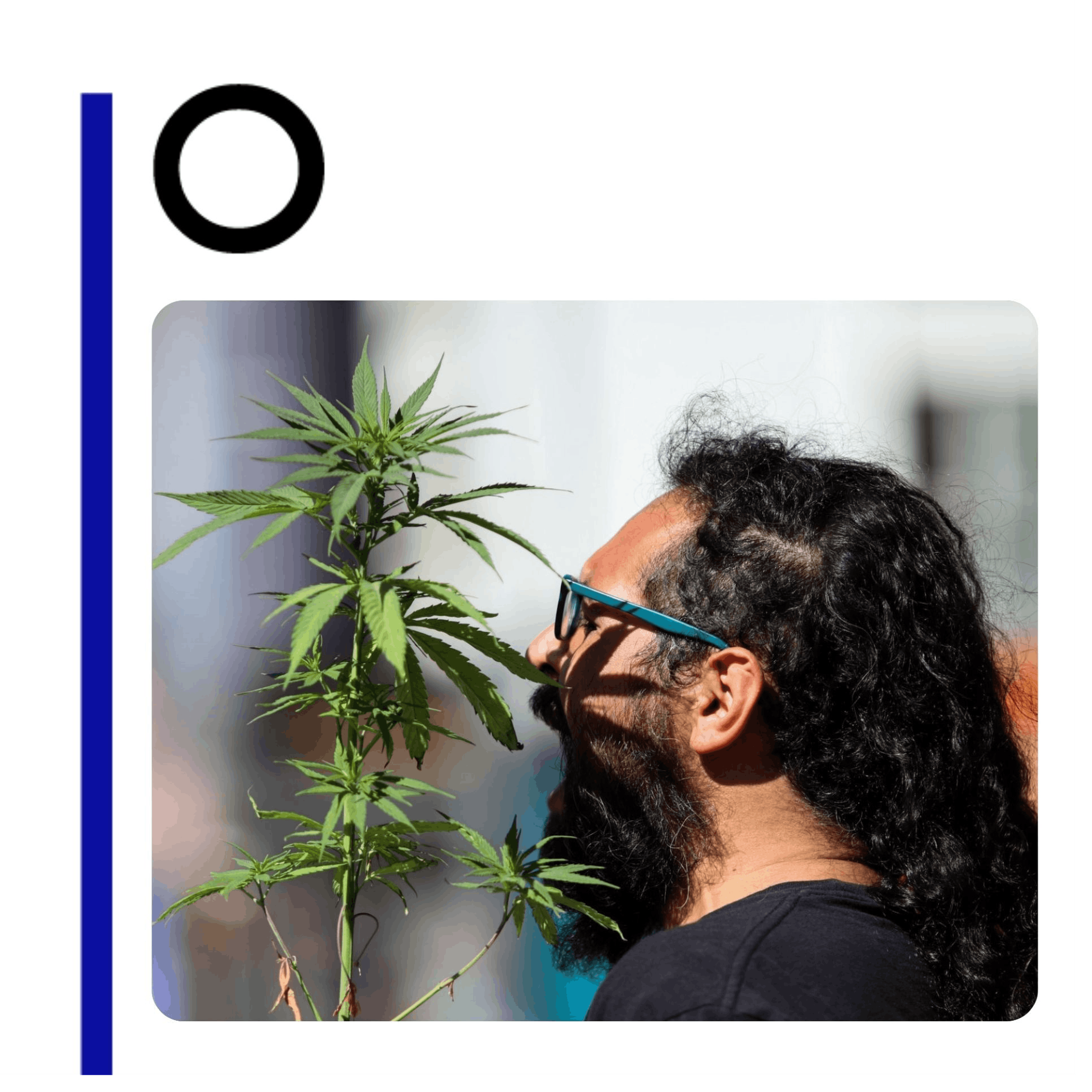 México y el (nuevo) oro verde