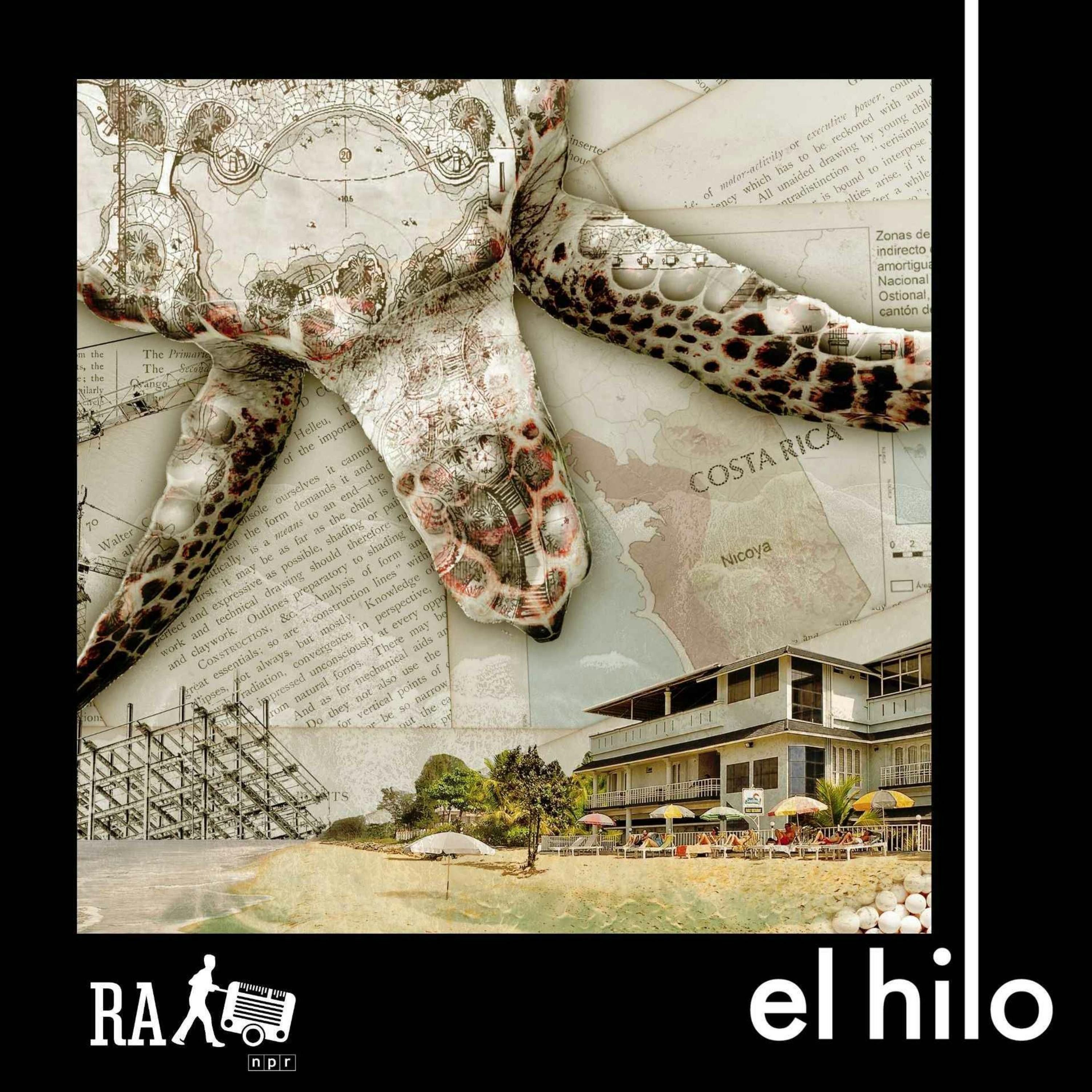 Donde habitan las tortugas [Radio Ambulante]