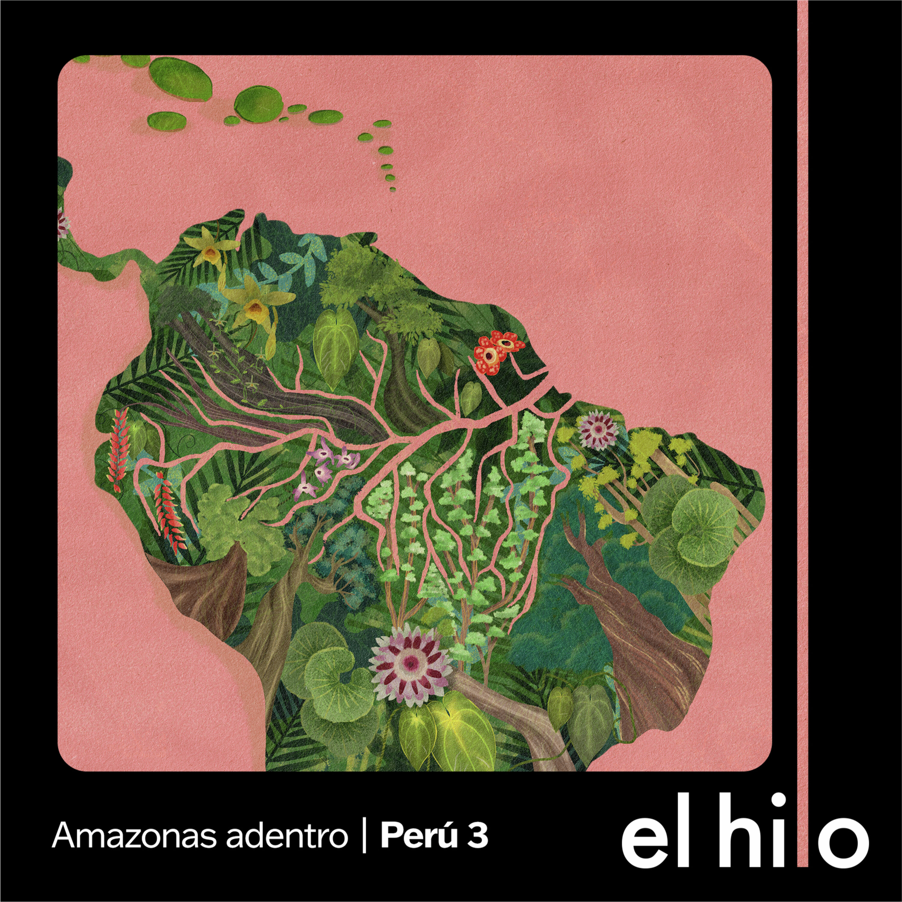 Amazonas adentro | 3. Los vigilantes, el río y los oportunistas