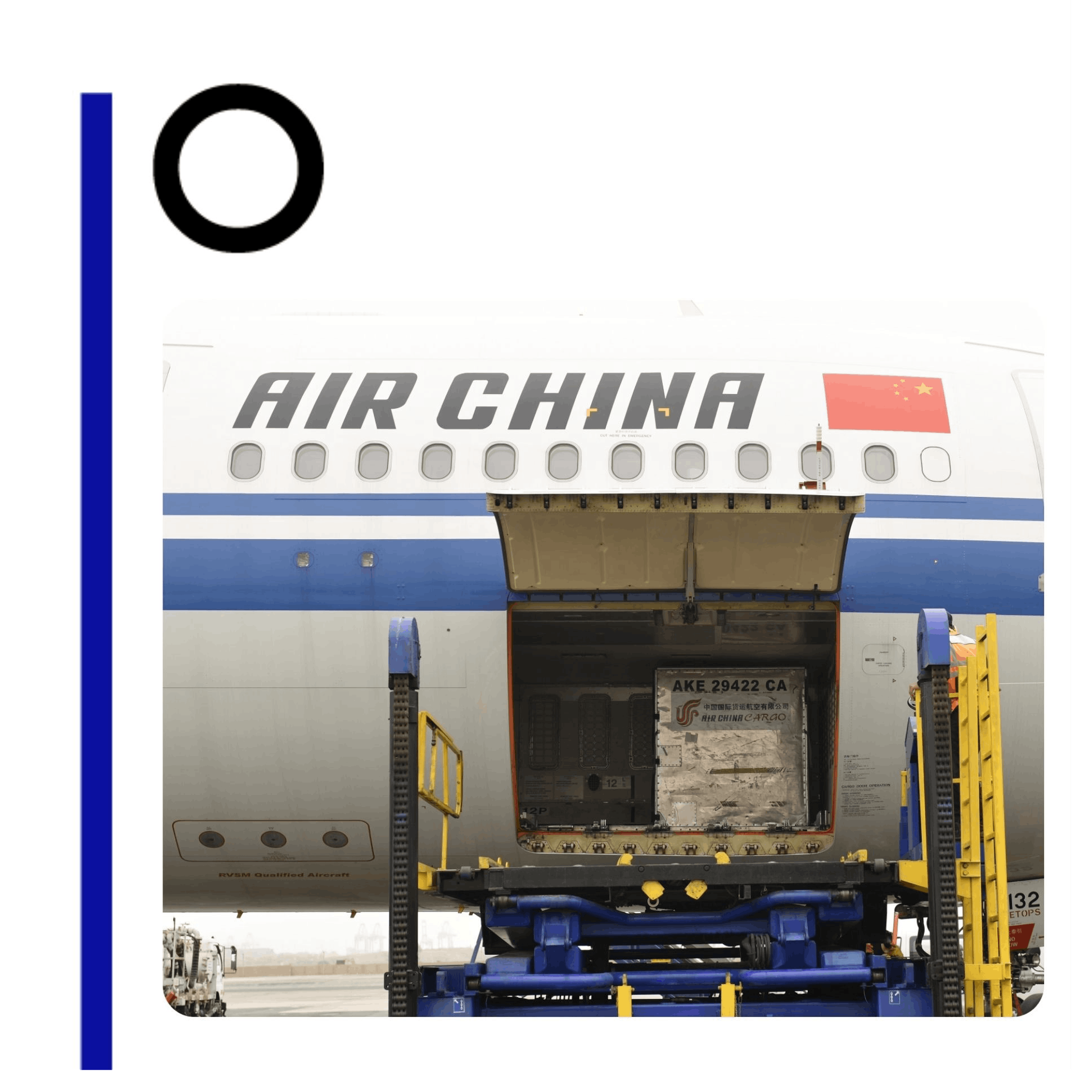 Circovid: los escándalos de la vacuna