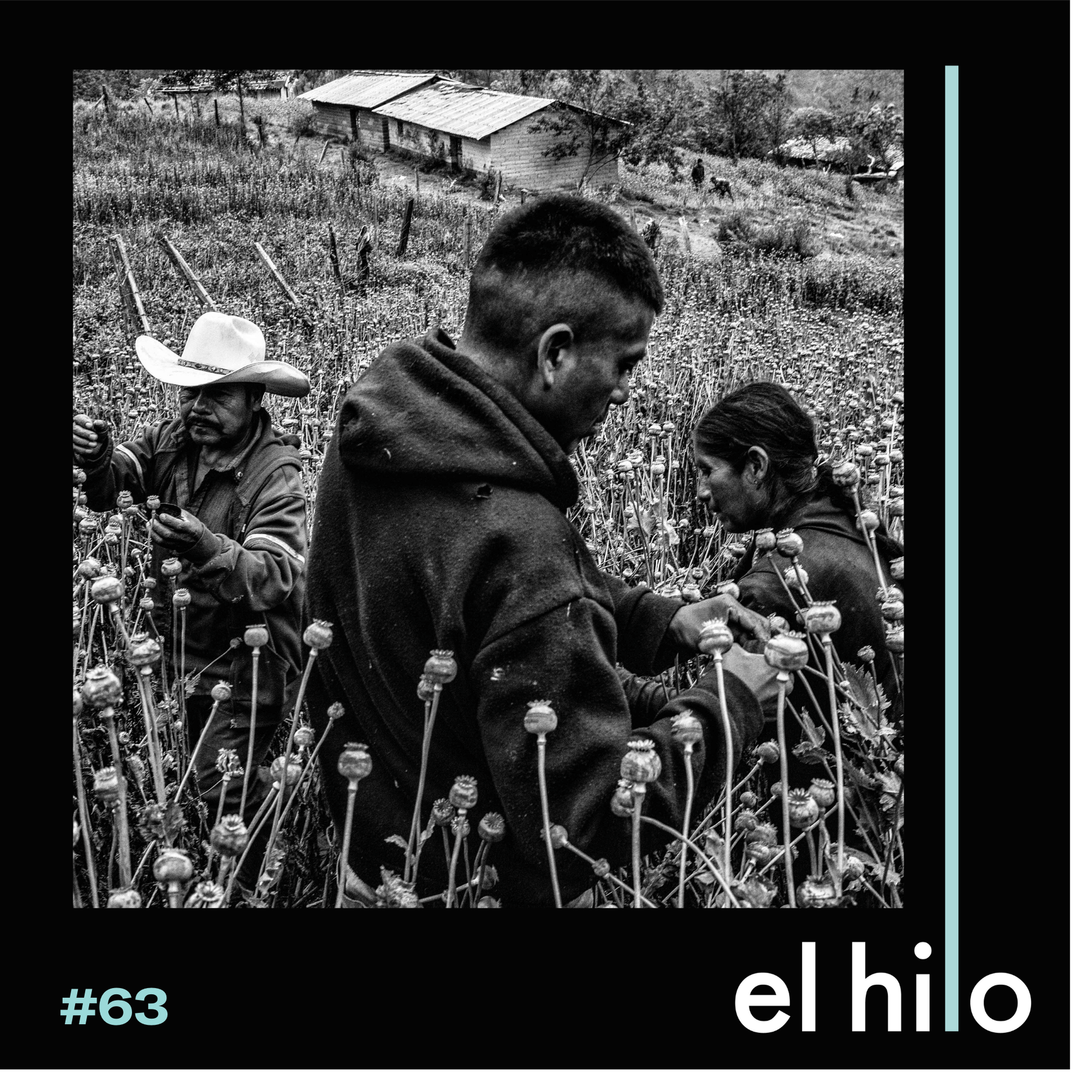 La guerra contra las drogas: medio siglo de derrotas