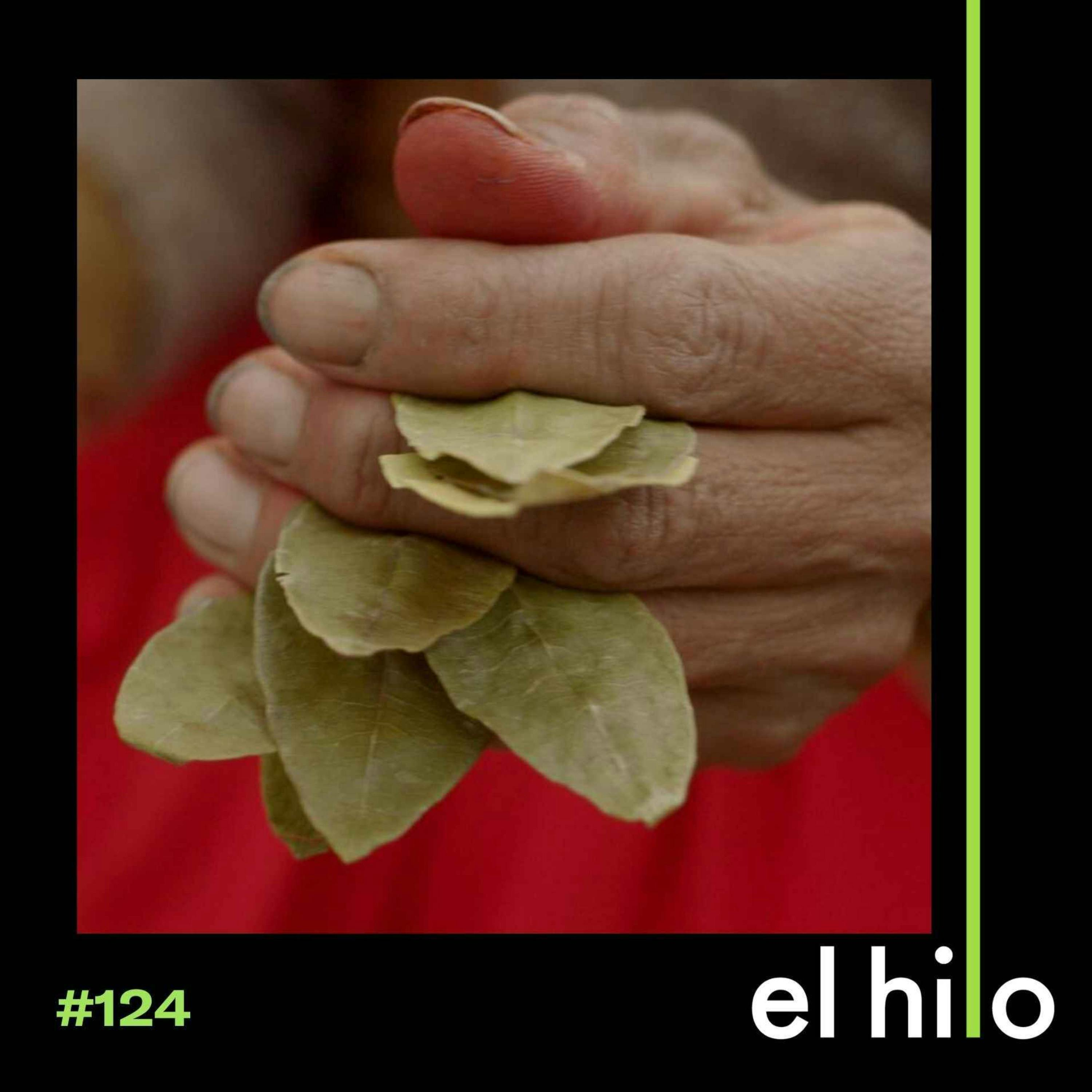 El hilo