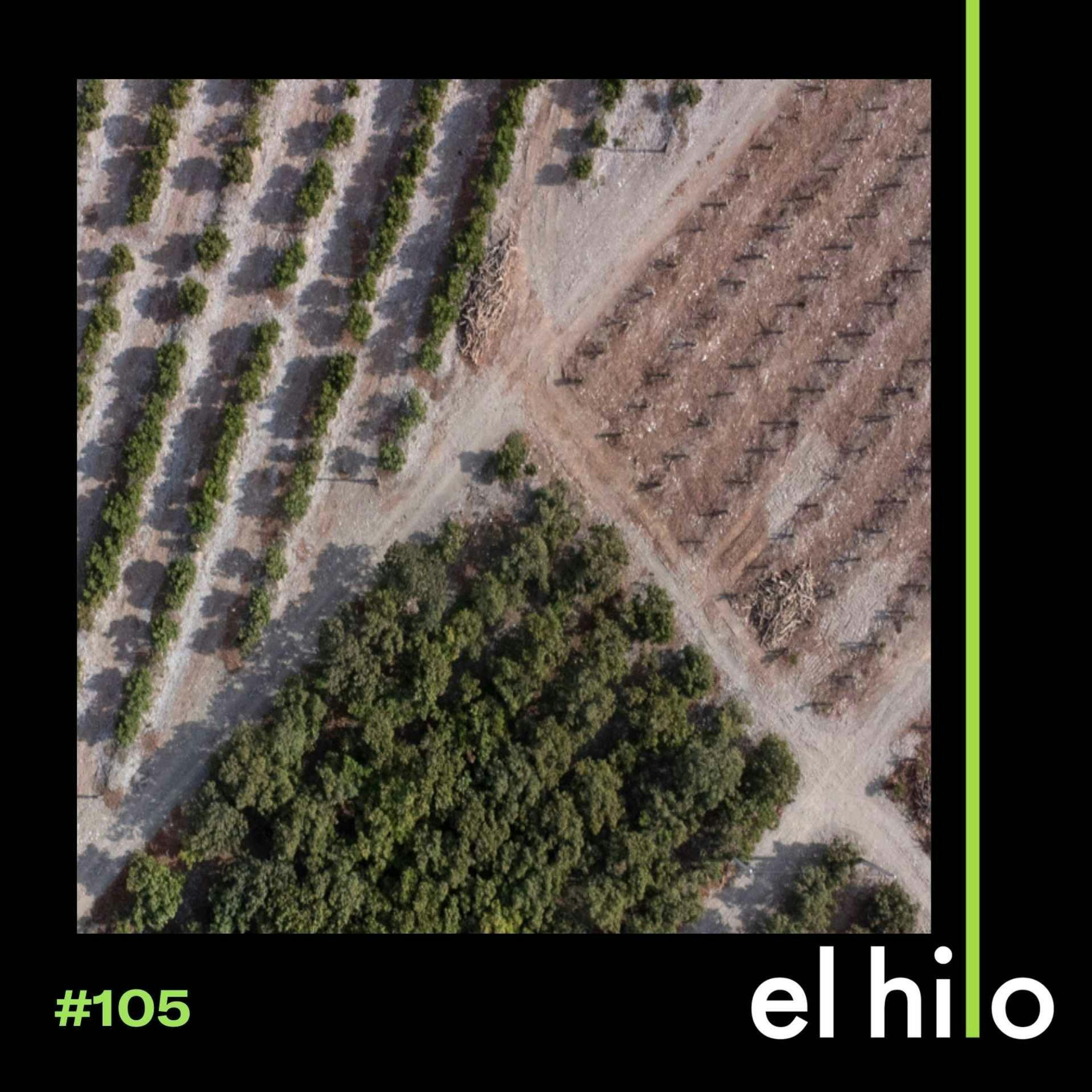 Chile se está quedando sin agua