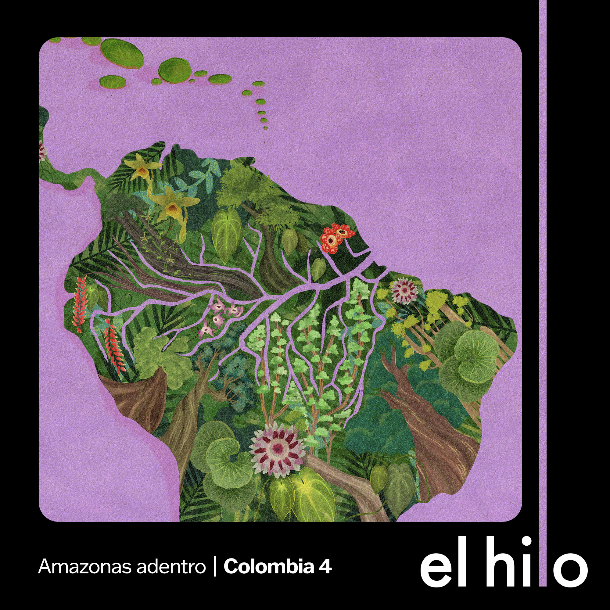 Amazonas adentro | 4. El precio de conservar la selva