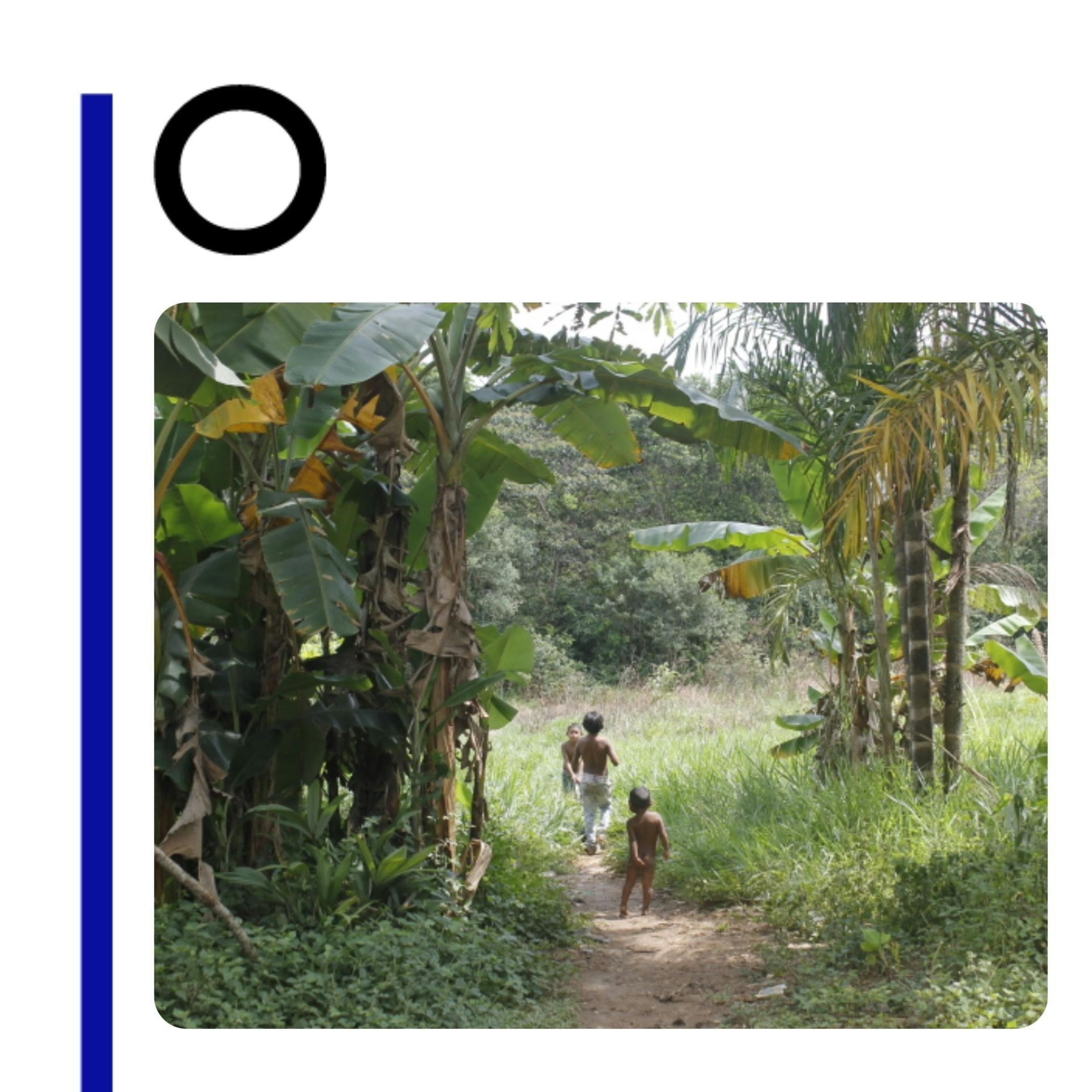 Colombia: una guerra invisible contra las niñas