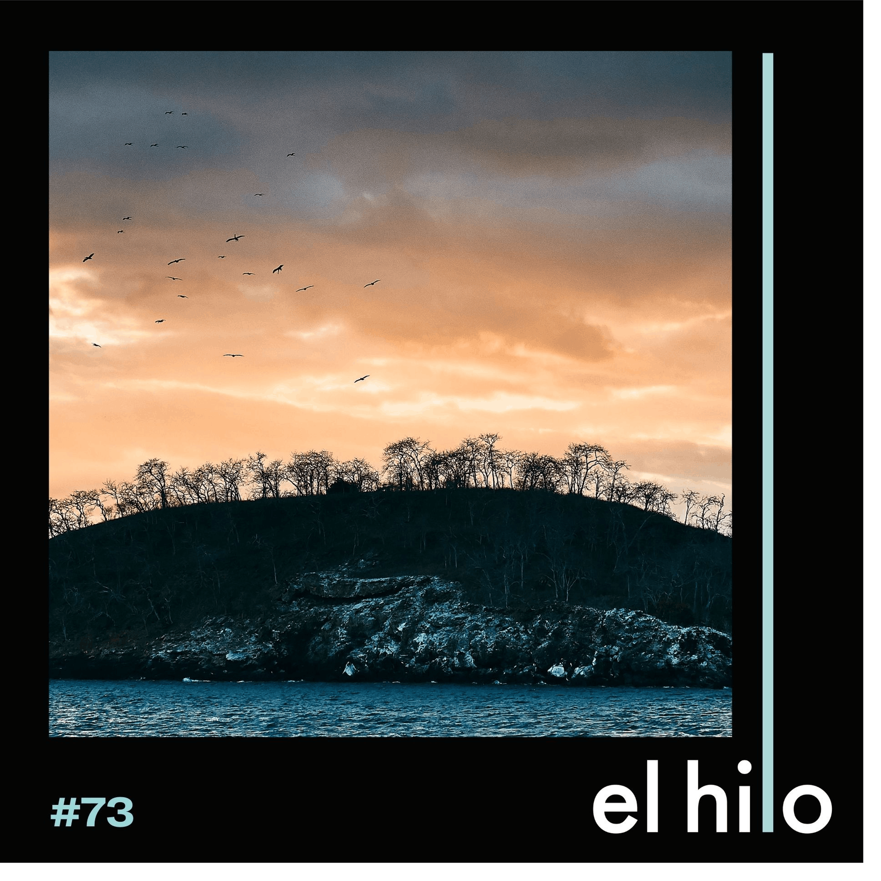 El hilo