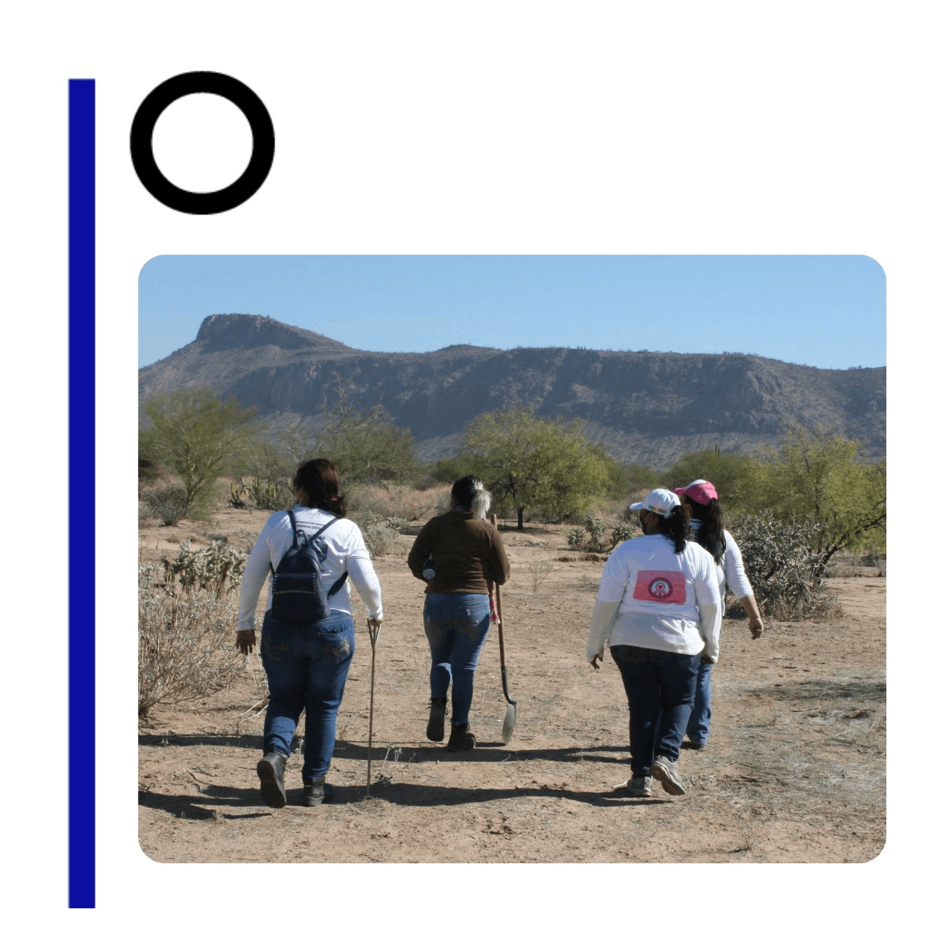 Las madres del desierto de Sonora