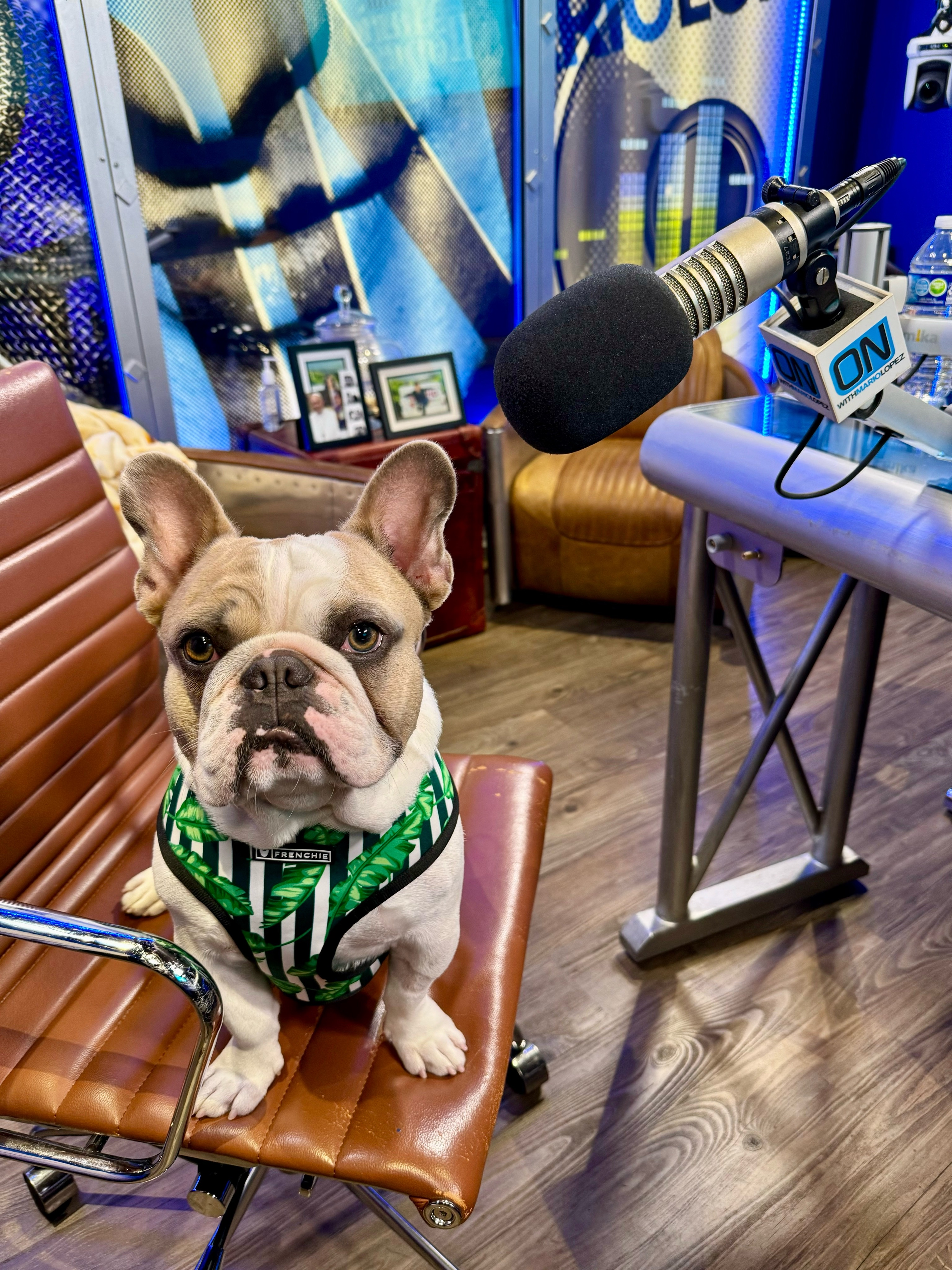 We Meet The Newest Member of The Lopez Fam, The Weeknd's New Music & More!