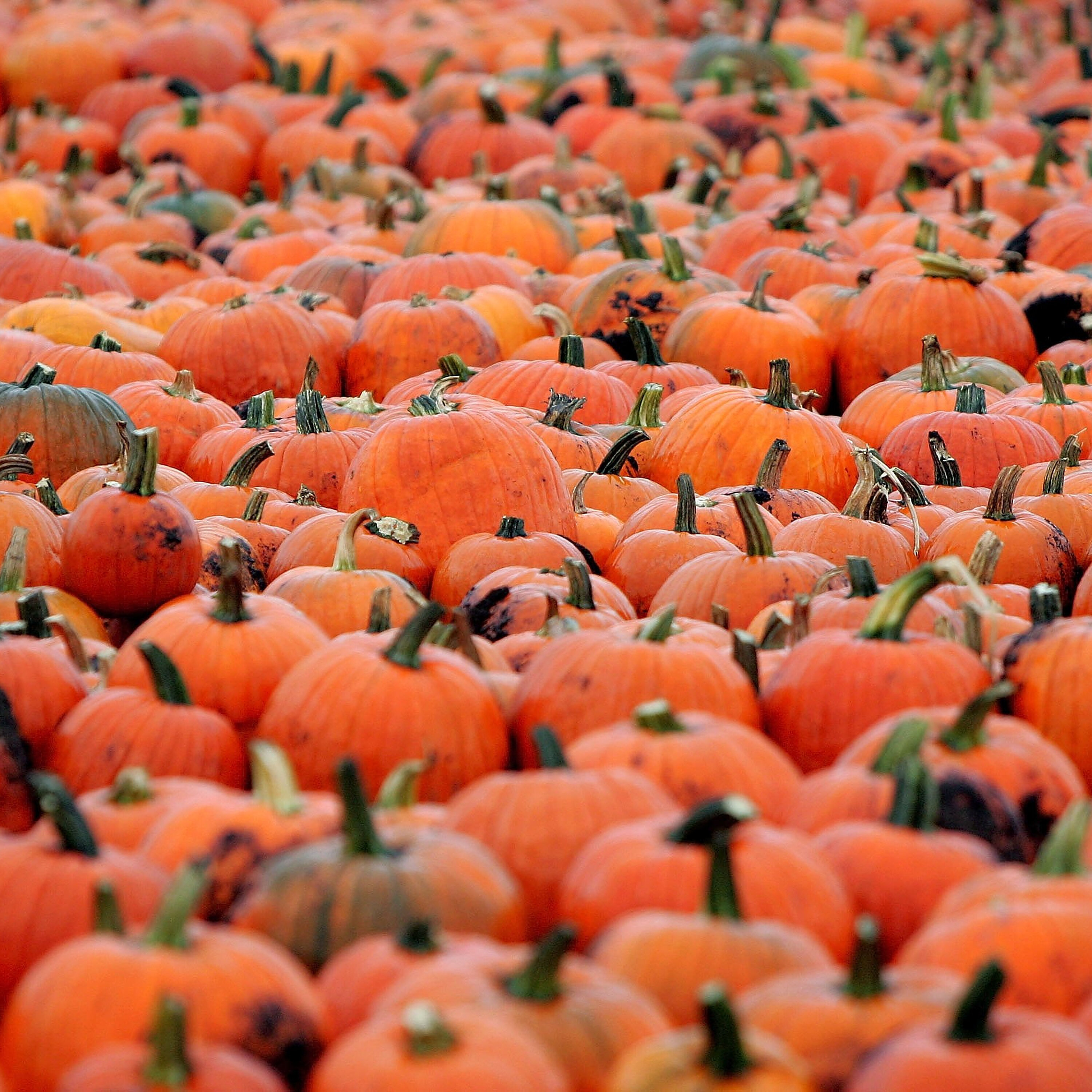 Fall Travel Trends, Courtney's Life Hacks & What is Work Place 'Rust Out'?