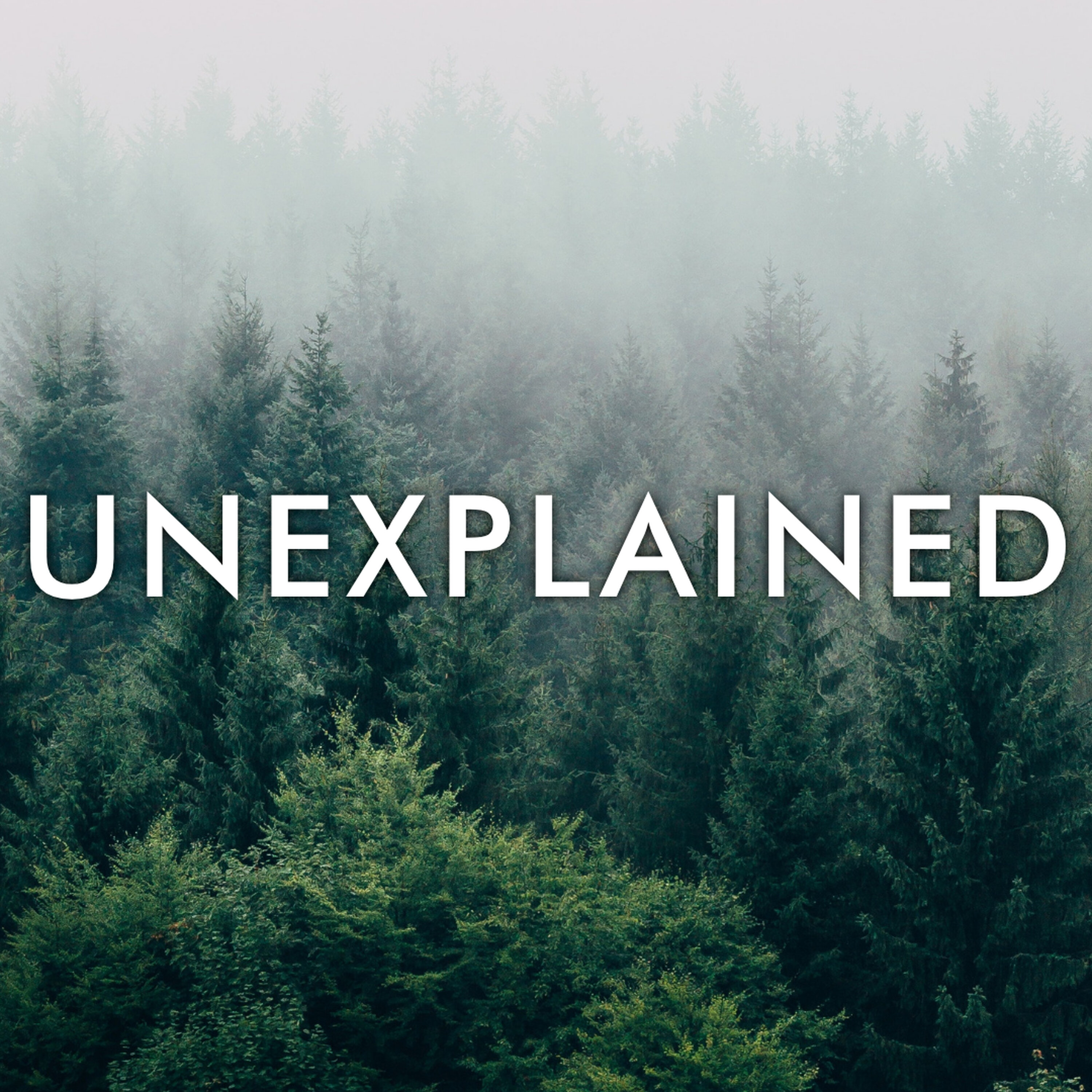 Introducing... Unexplained: Lying in Wait