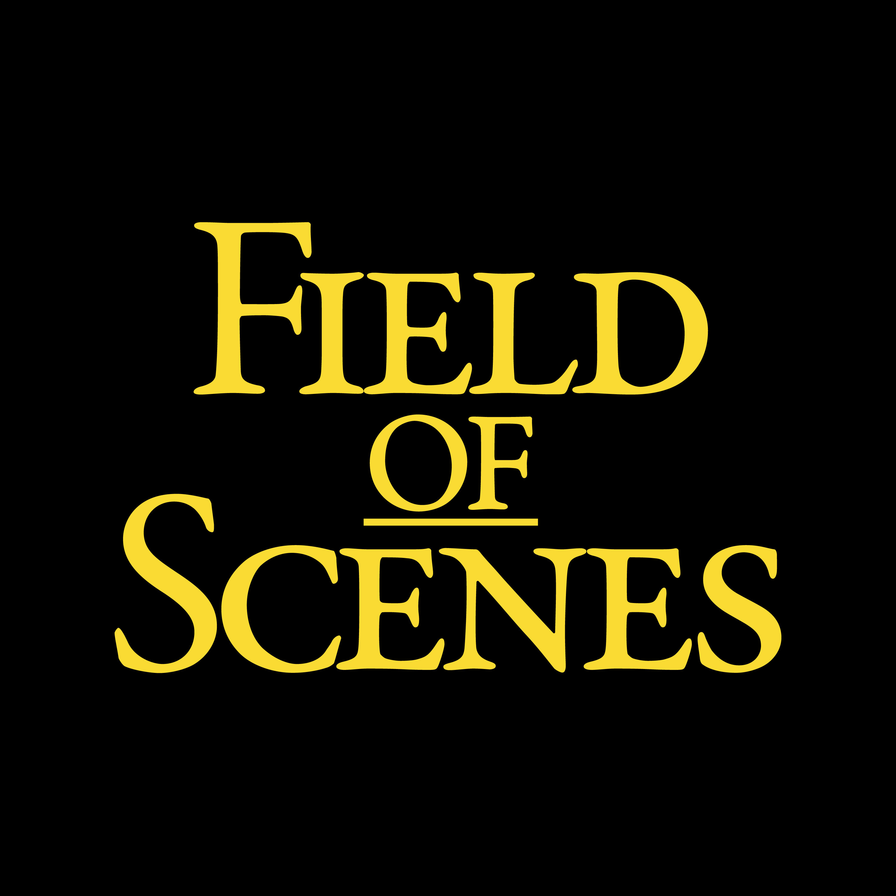 The Freshman (1925) with Sean Crosson | Field of Scenes