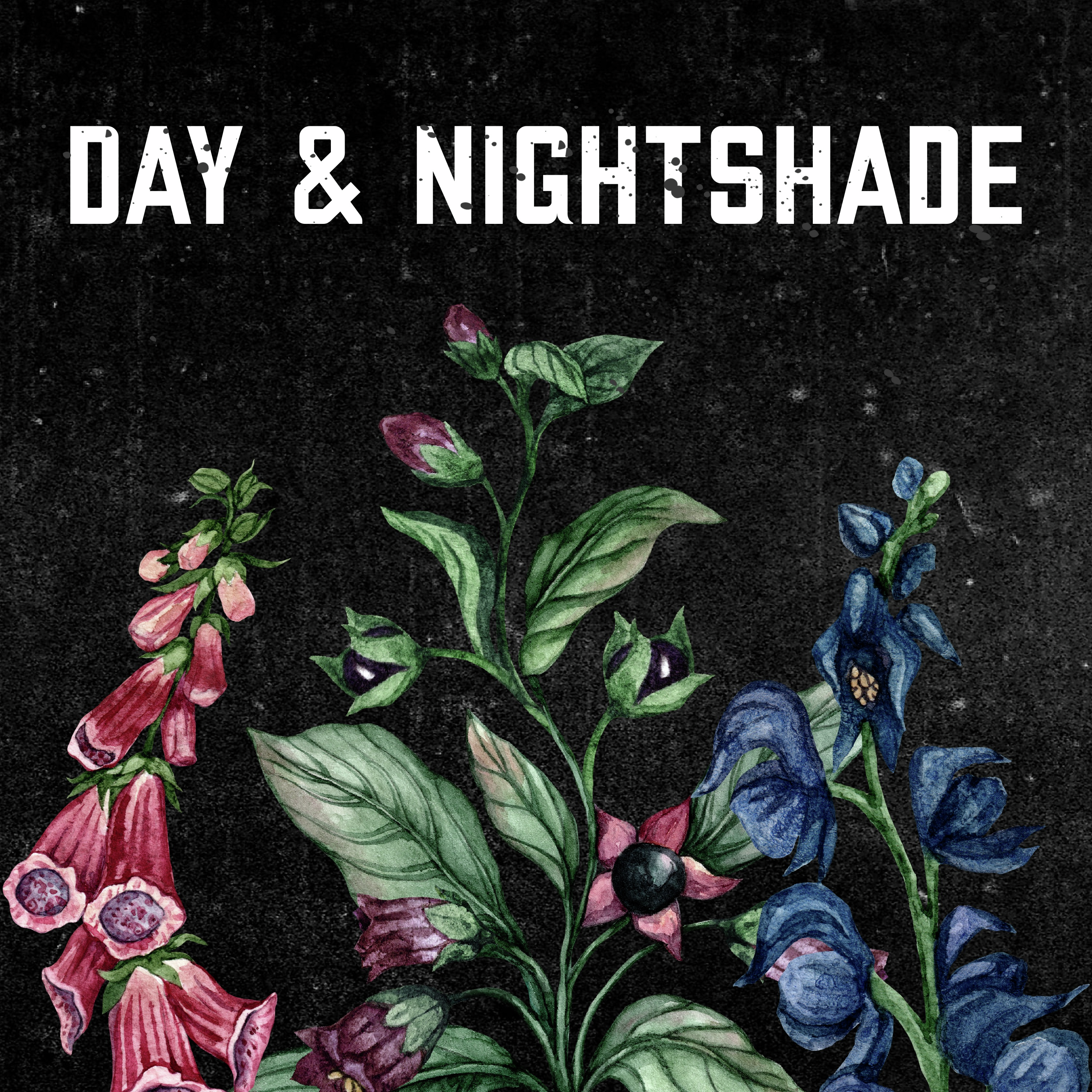 Introducing - Day and Nightshade