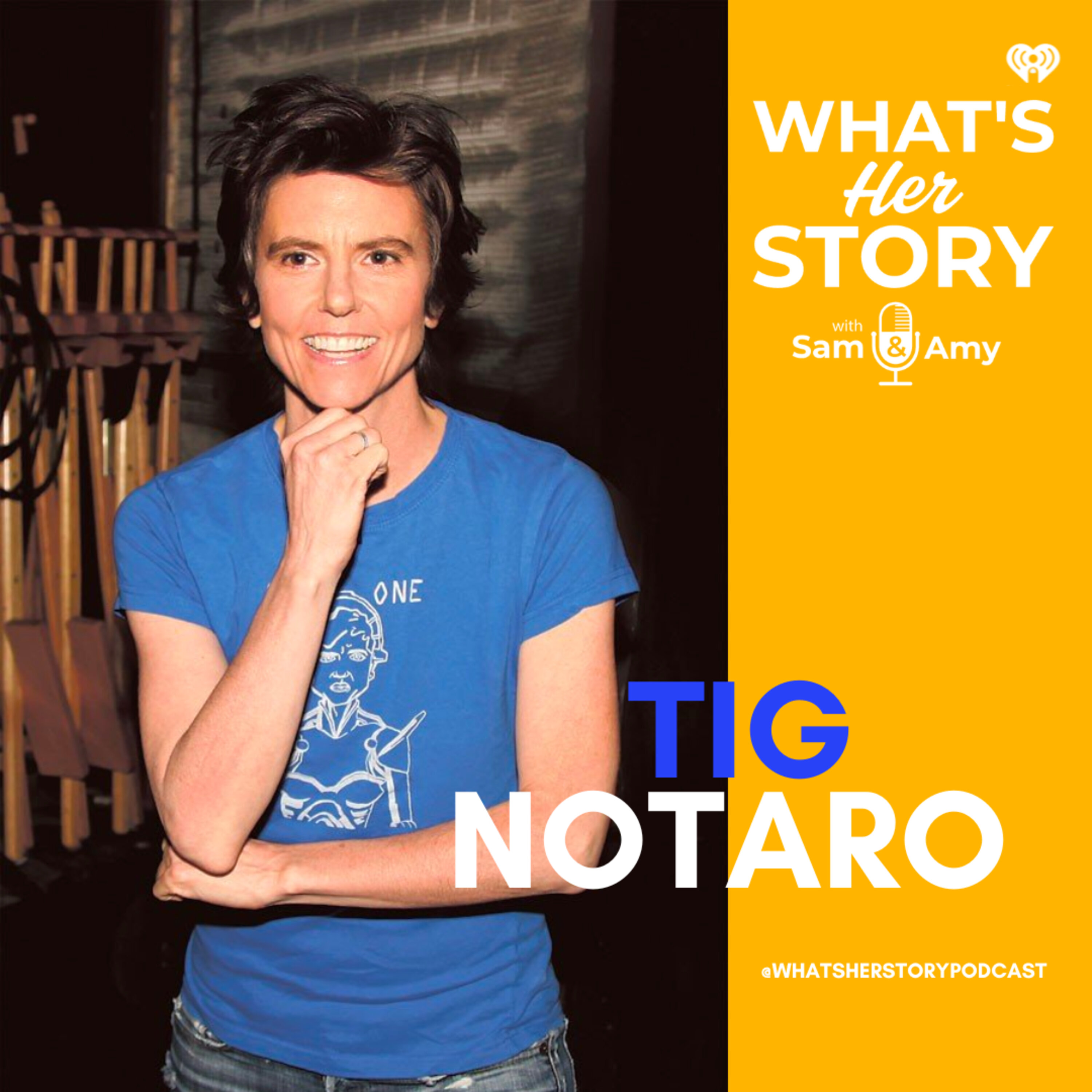 Tig Notaro