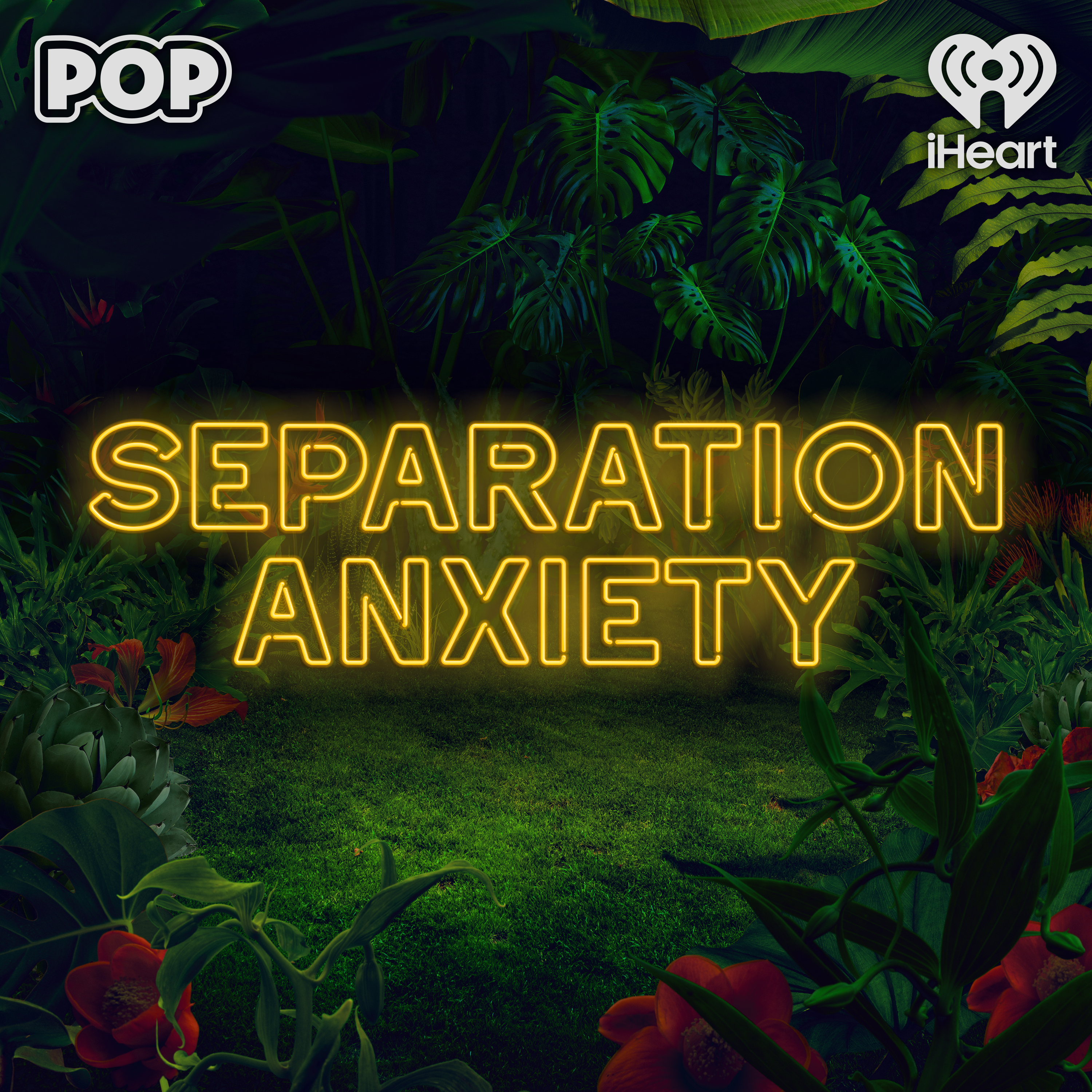 A PREMATURE PROPOSAL?