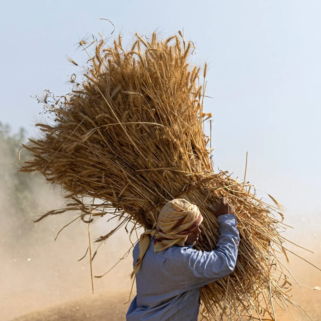 Why the war in Iran Risks a Farming Crisis in Africa