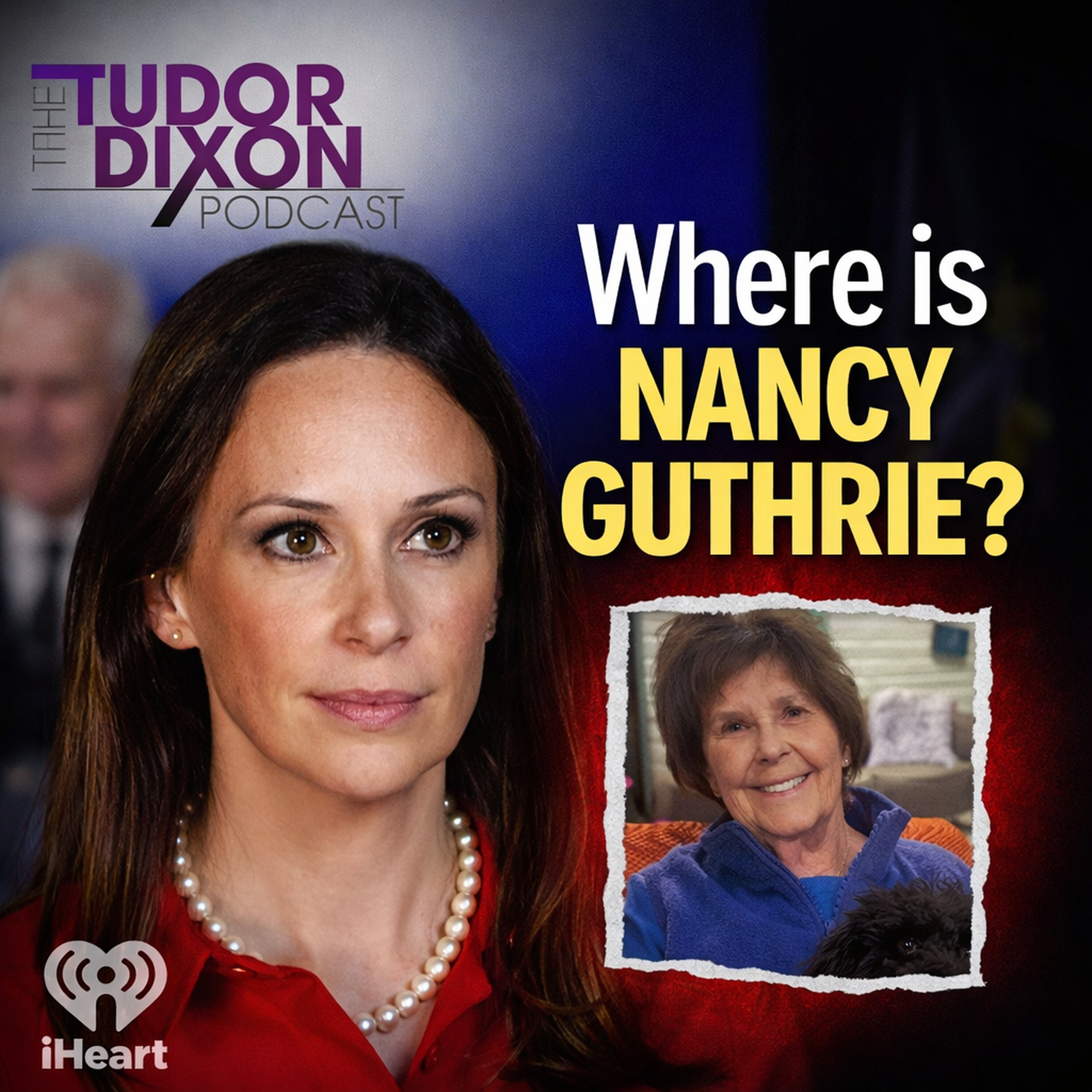 The Tudor Dixon Podcast: Inside the Nancy Guthrie Case with James Fitzgerald The Tudor Dixon Podcast: Inside the Nancy Guthrie Case with James Fitzgerald