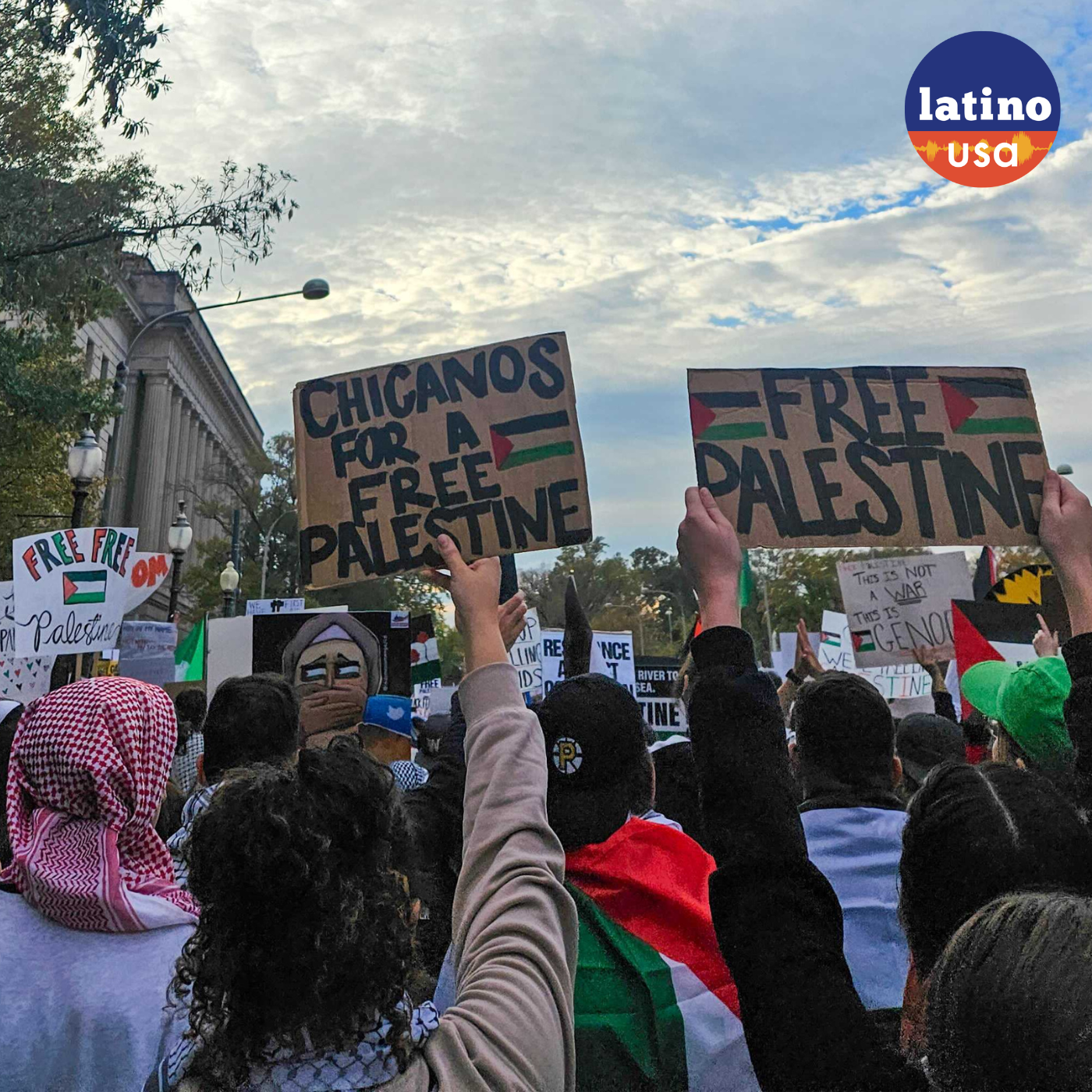 Thumbnail for "What Inspires Latino Solidarity With Gaza?".