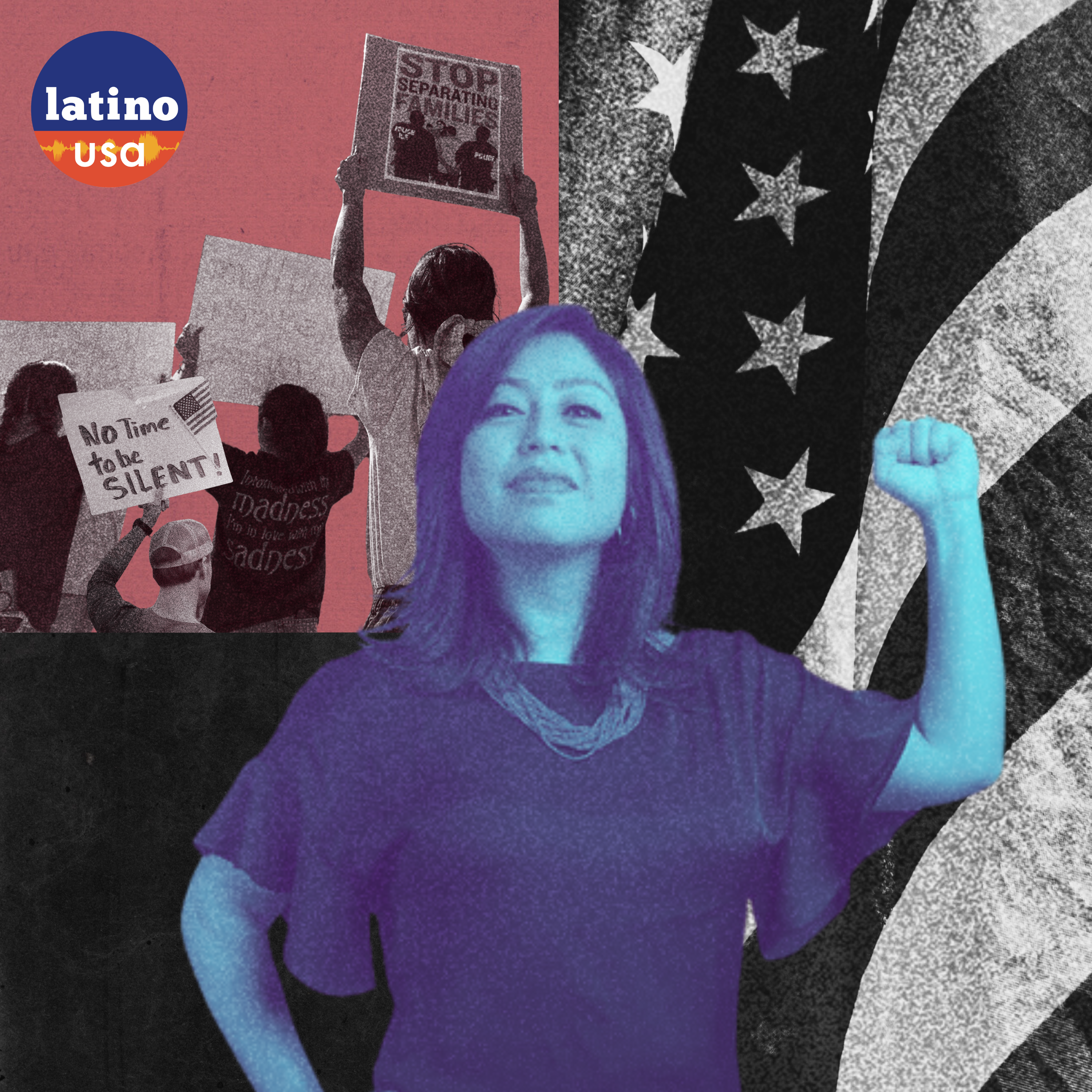 Thumbnail for "“Silence Won’t Protect Us. Community Will”: Cristina Jiménez on Latino Activism in a Time of Fear".